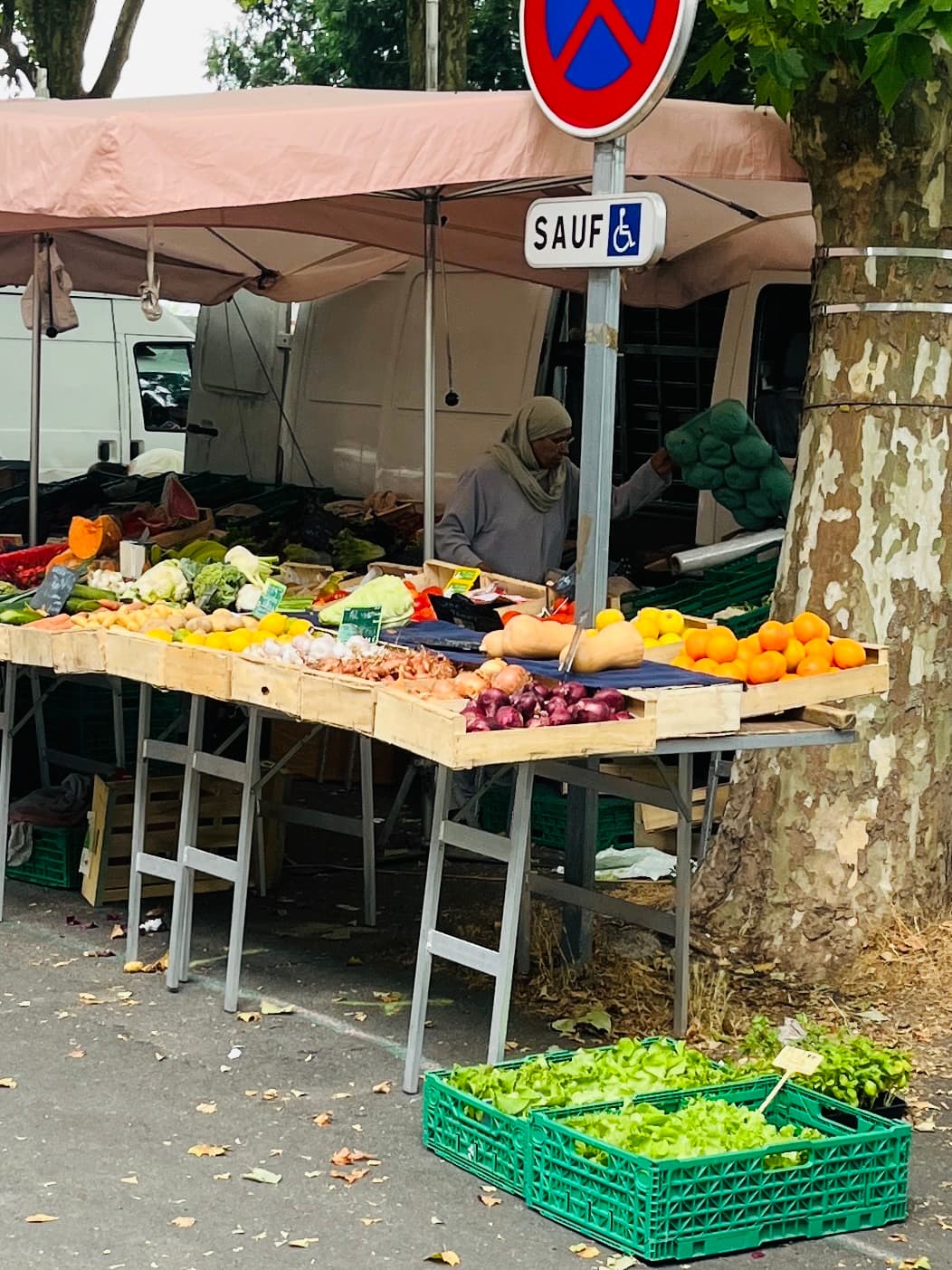 Amboise Sunday Market Quai - Image 1