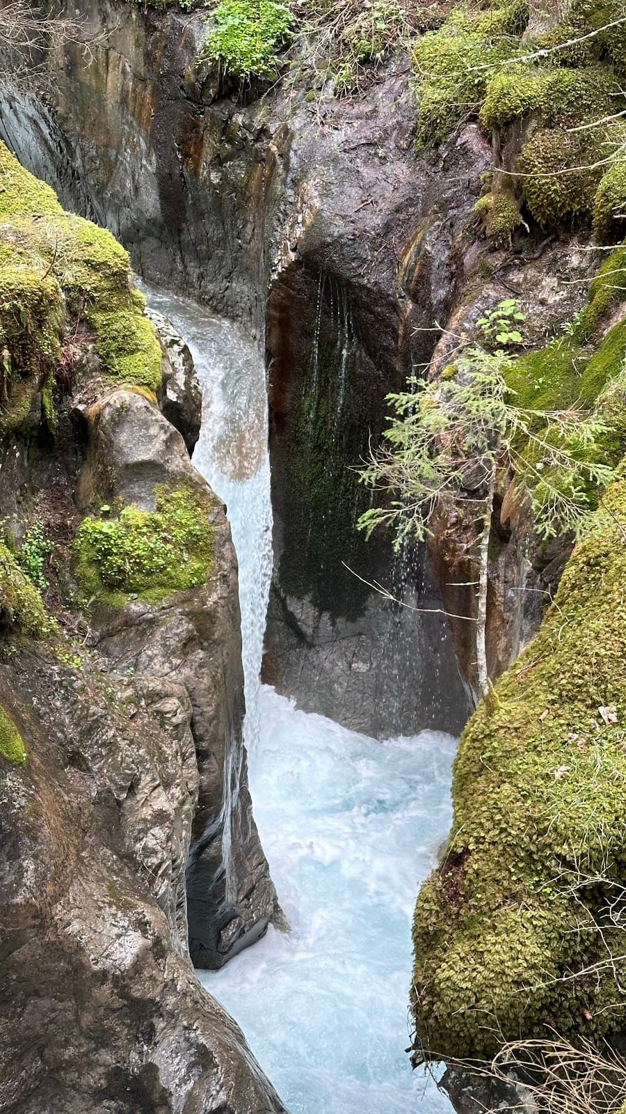 Réserve Naturelle des Contamines-Montjoie - Image 1