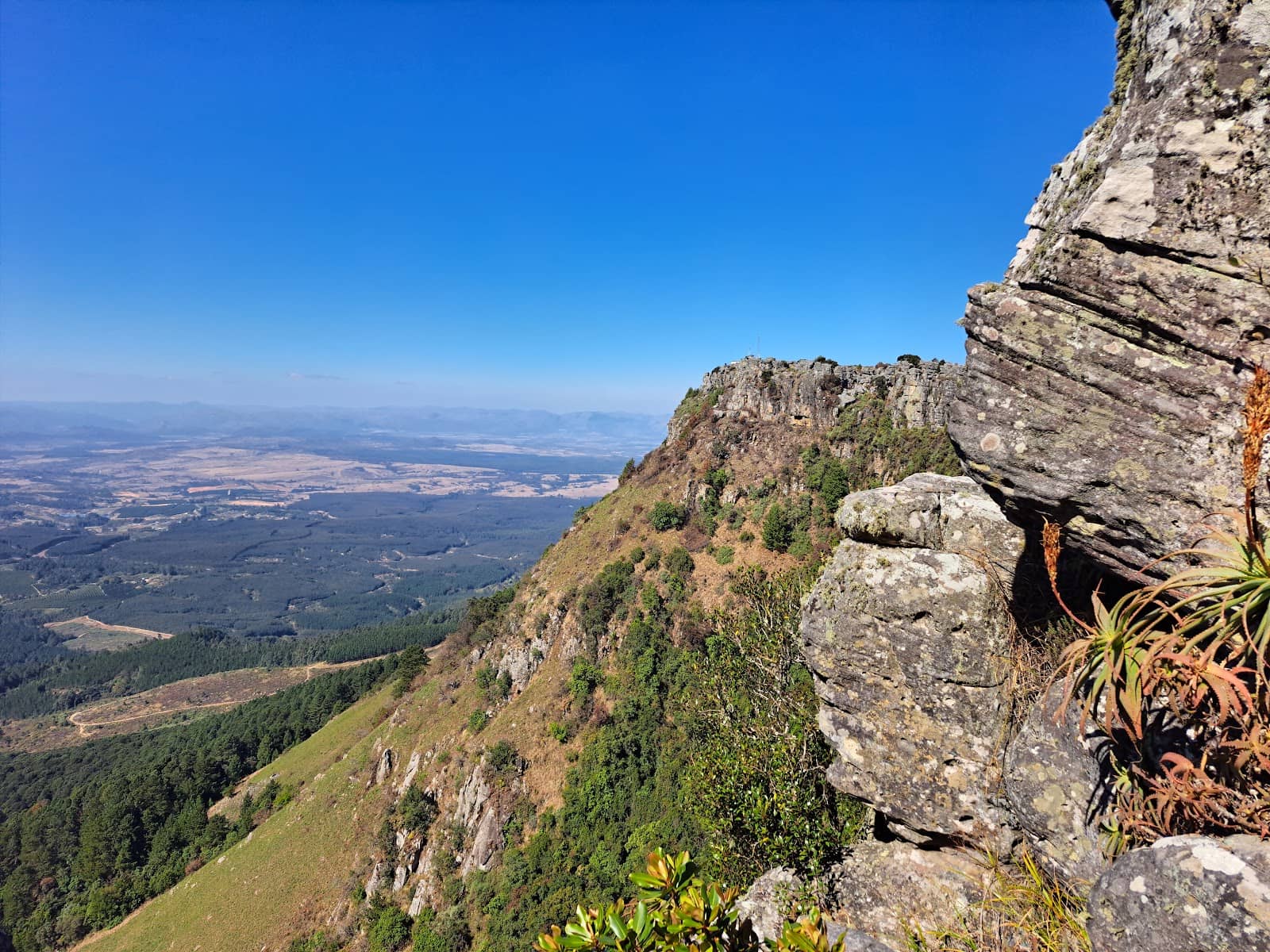 Historic Gold Digger Houses