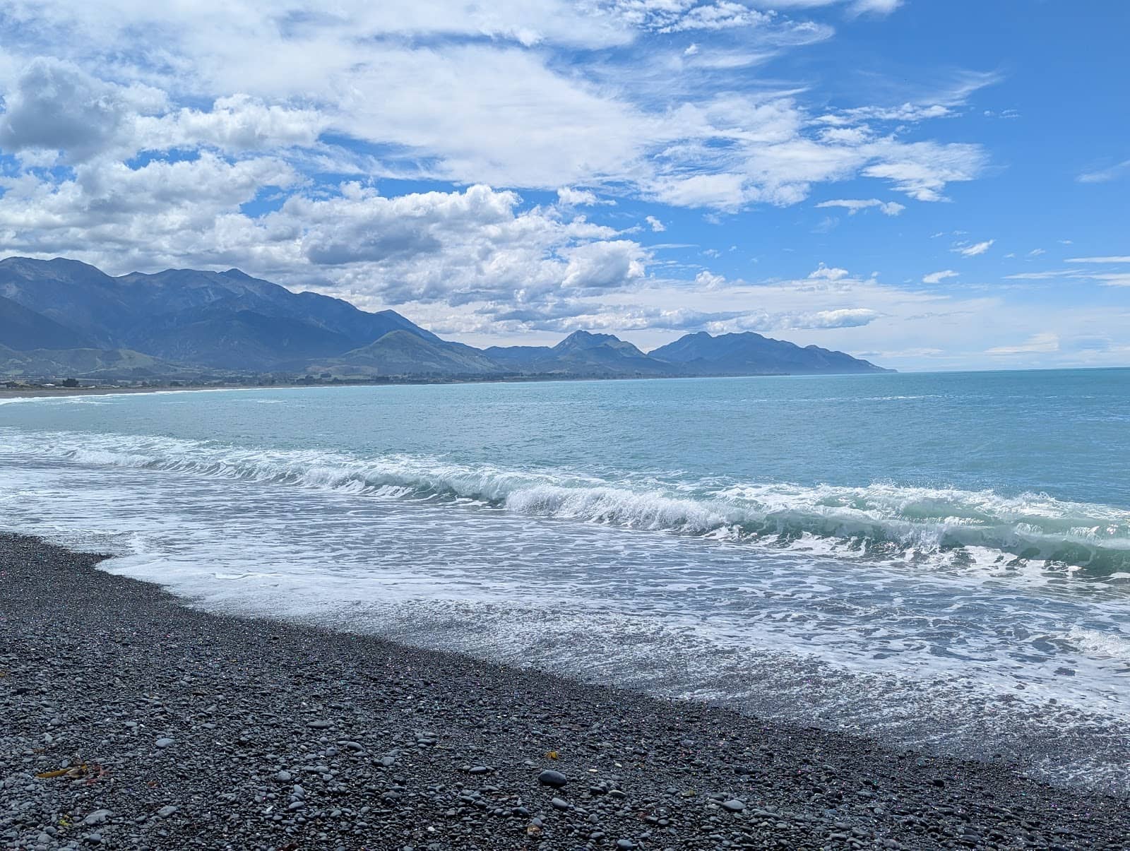 Kaikoura Peninsula Walkway & Seal Colony