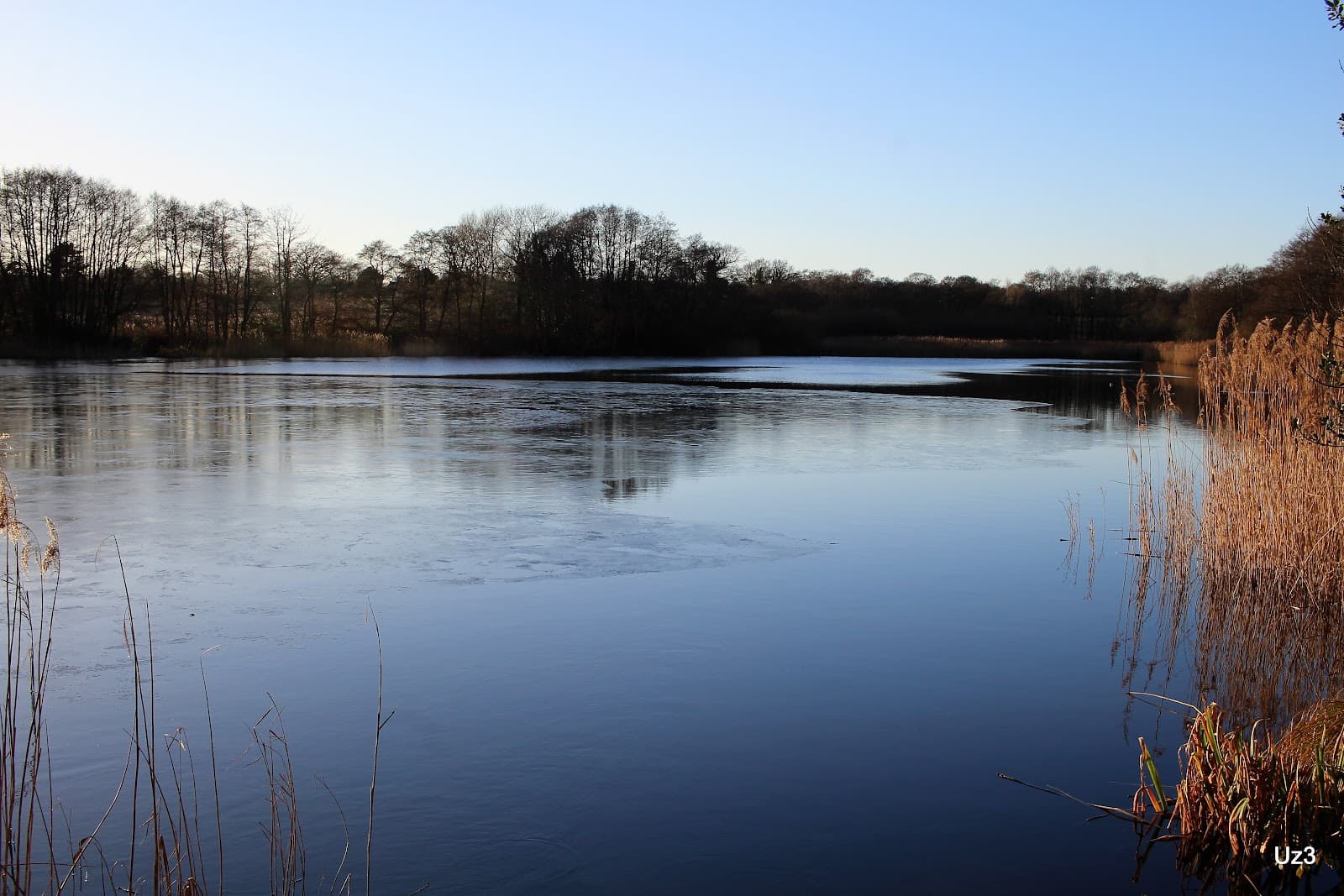 Budworth Mere - Image 1