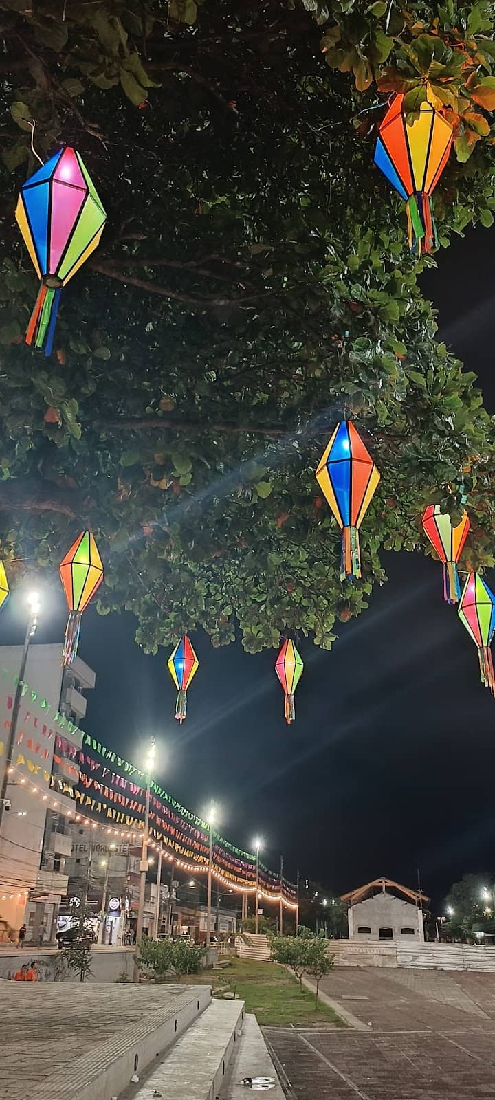 Vertical photo