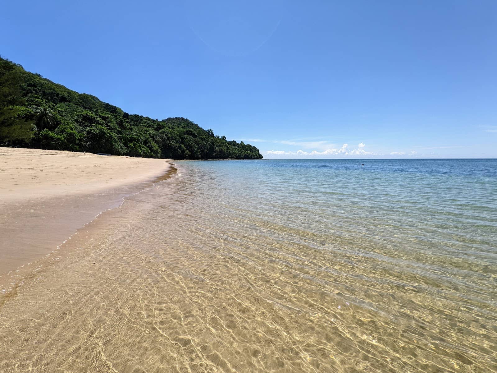 Untamed Natural Beauty