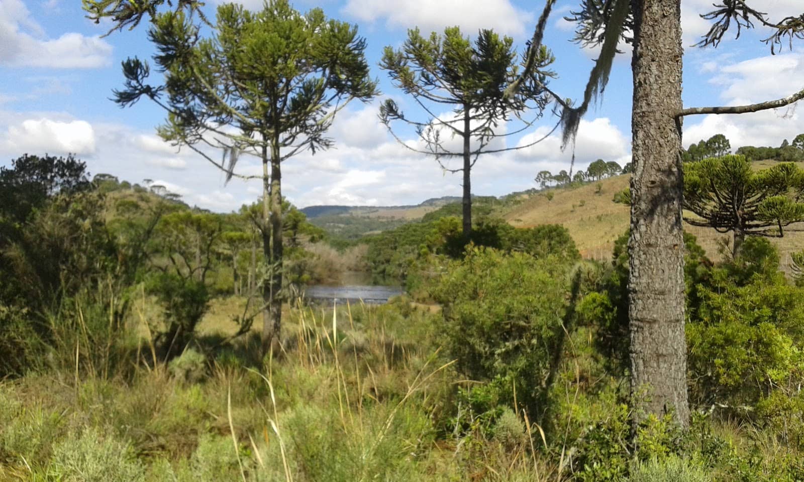 Scenic Drives & Natural Beauty