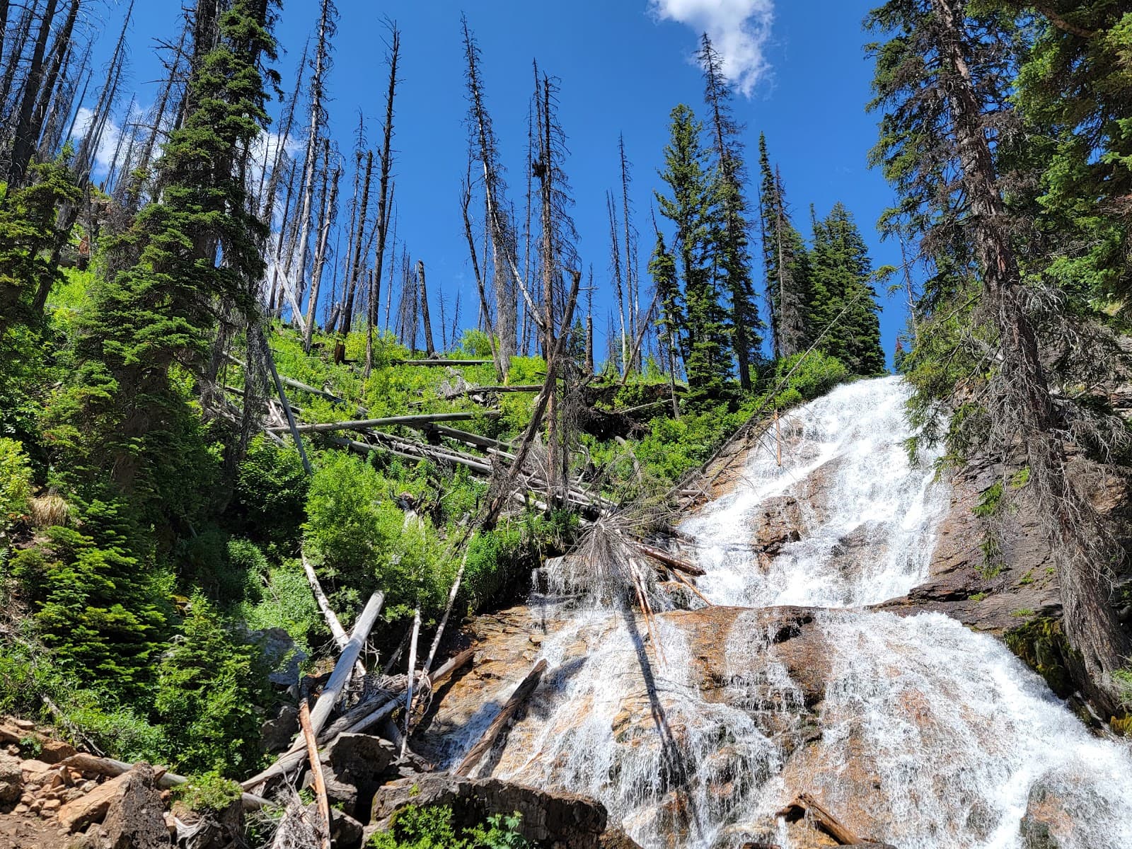 Skalkaho Falls - Image 1