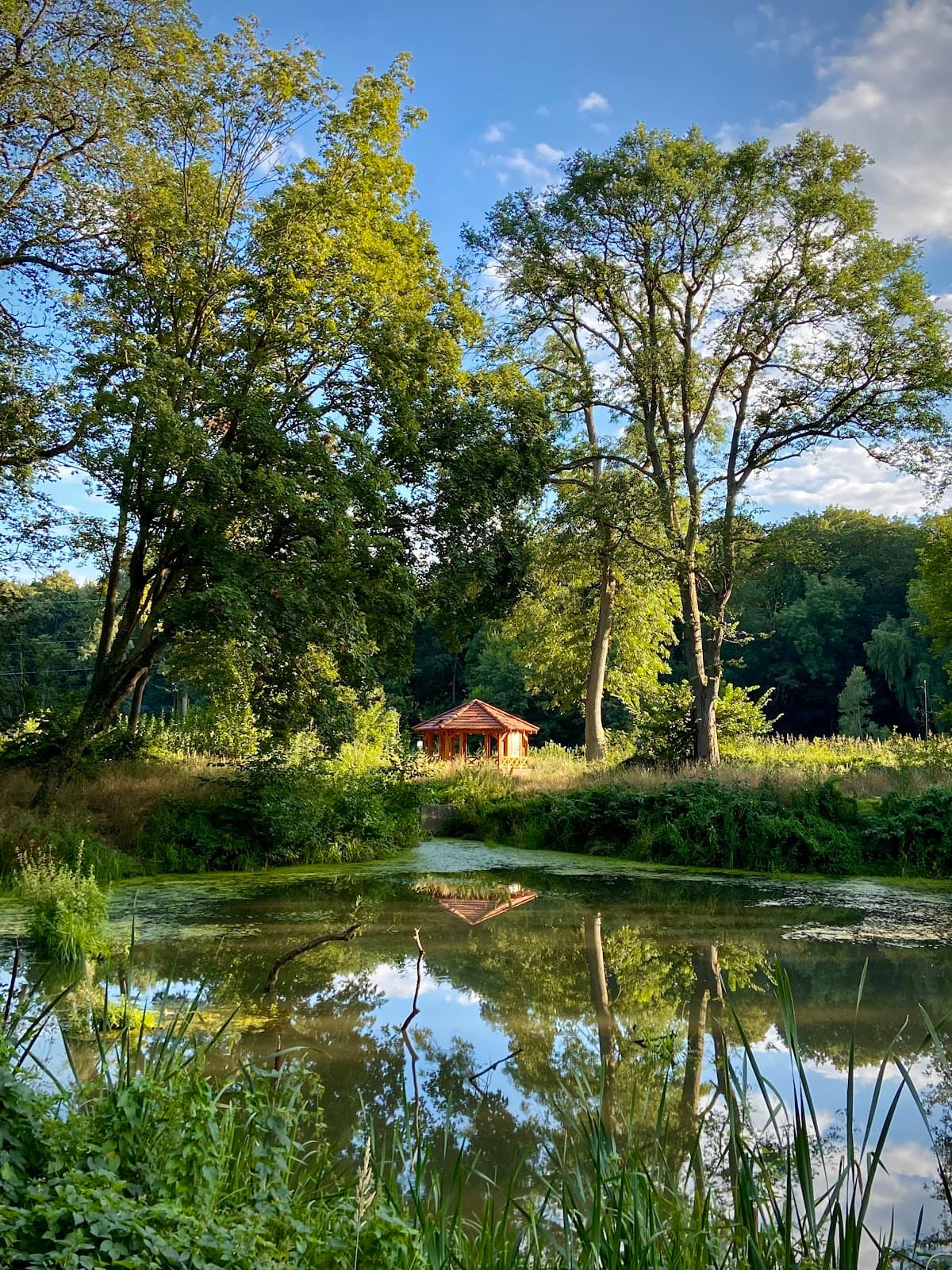 Syrenie Stawy Park - Image 1