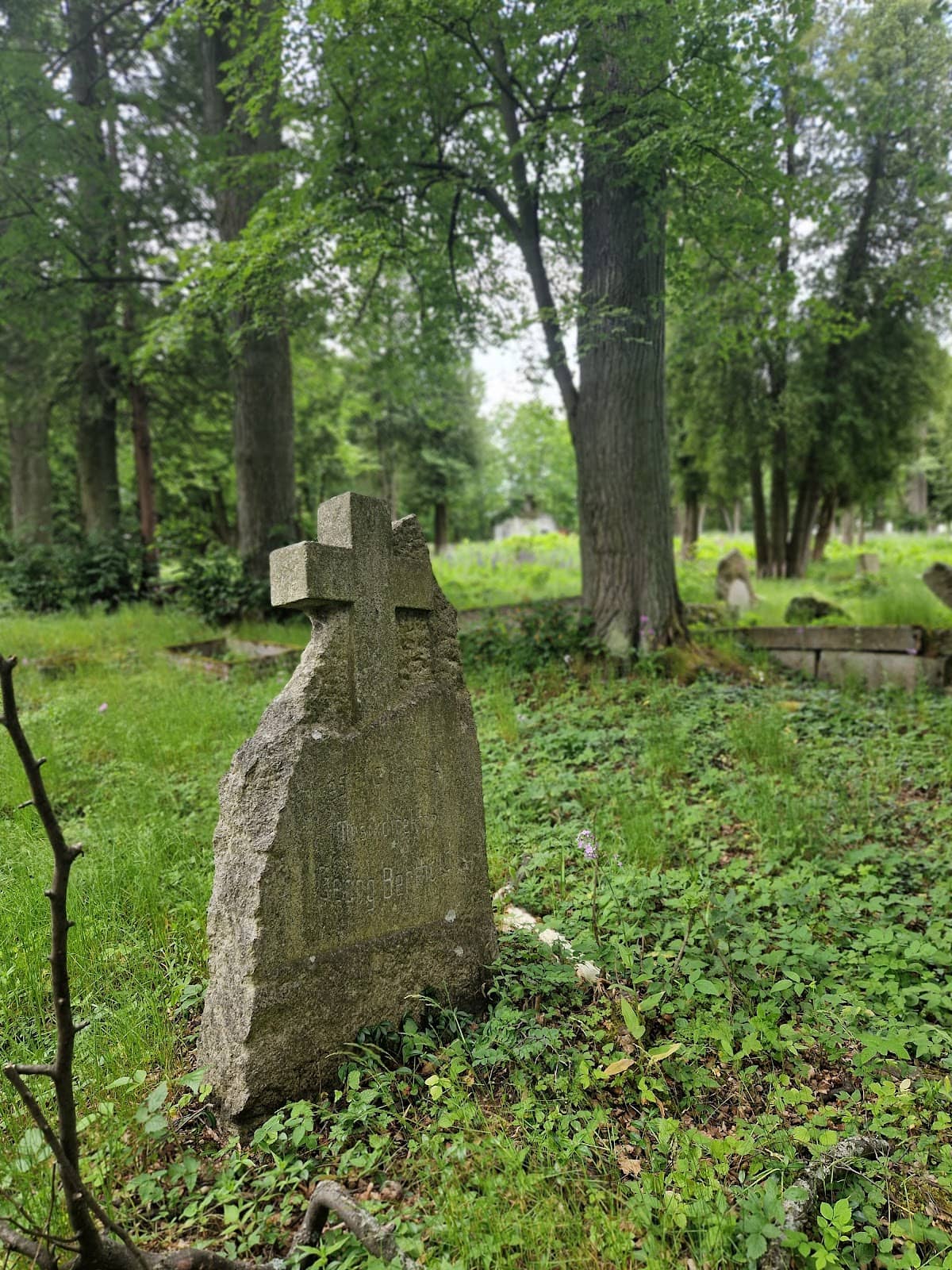 Wilhelm Bölsche Tomb