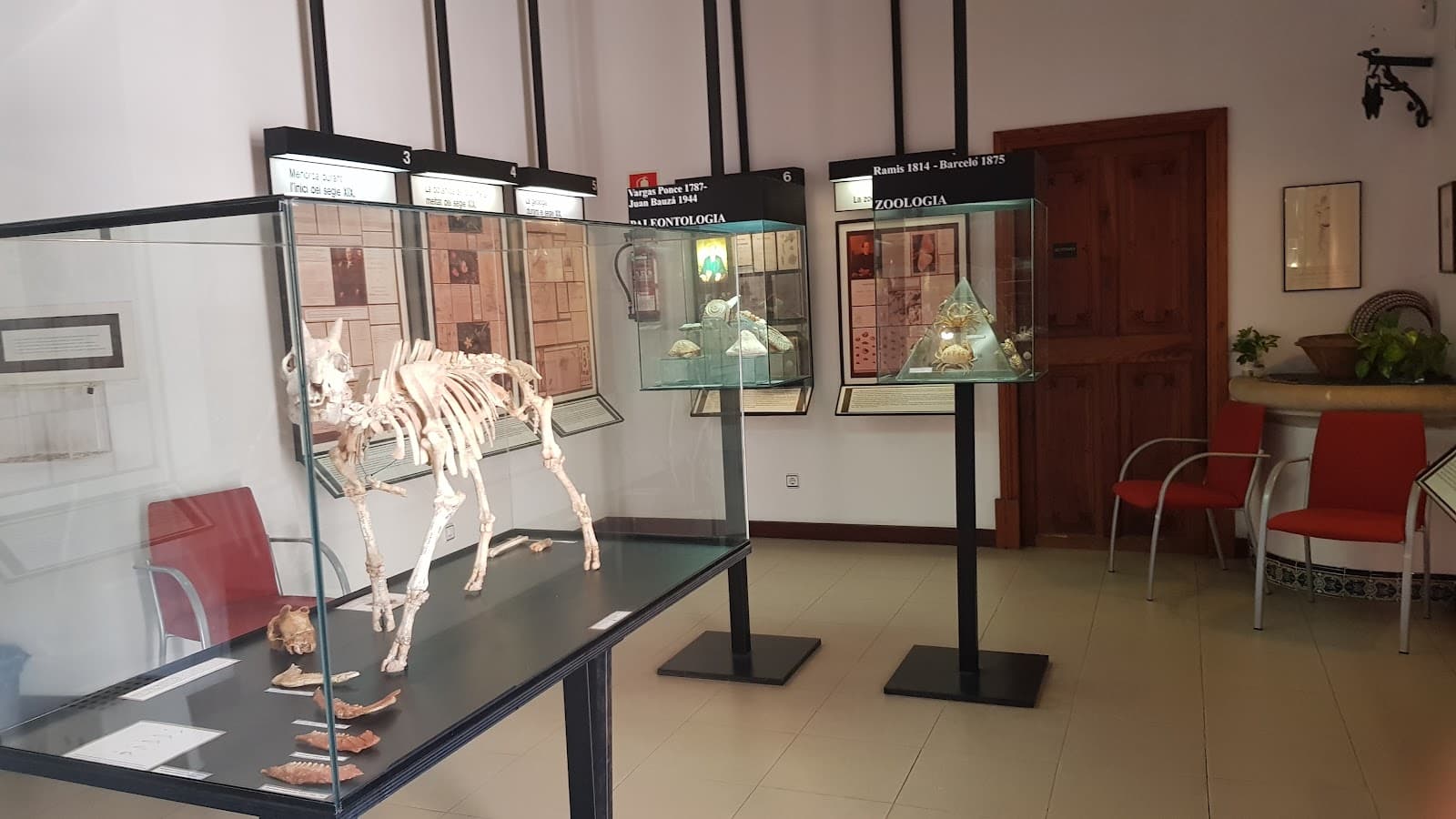 Museu Balear de Ciències Naturals Sóller Mallorca - Image 1