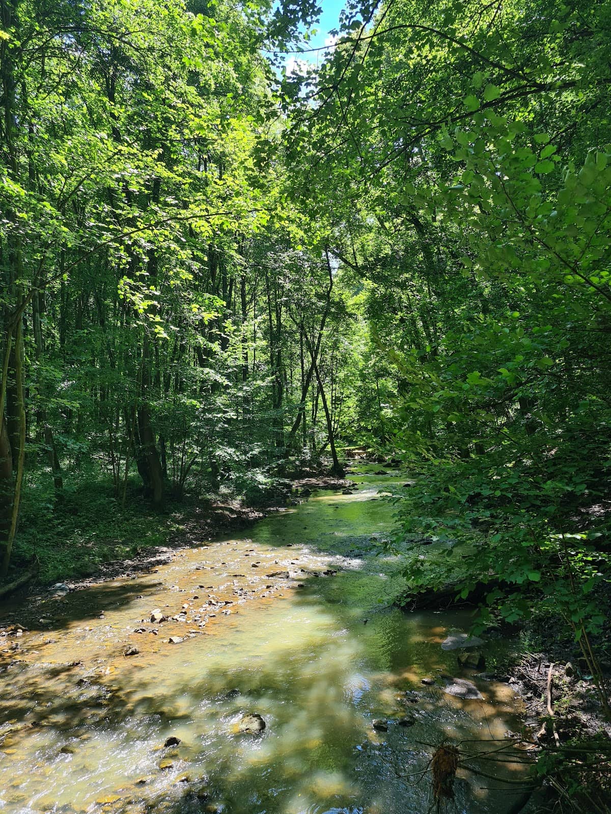 Hochberg Trail