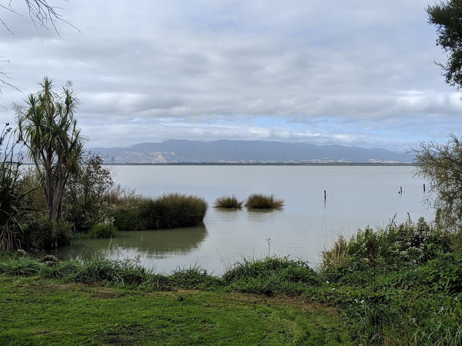 Wairarapa Moana Wetlands Park (Lake Wairarapa) - Image 1