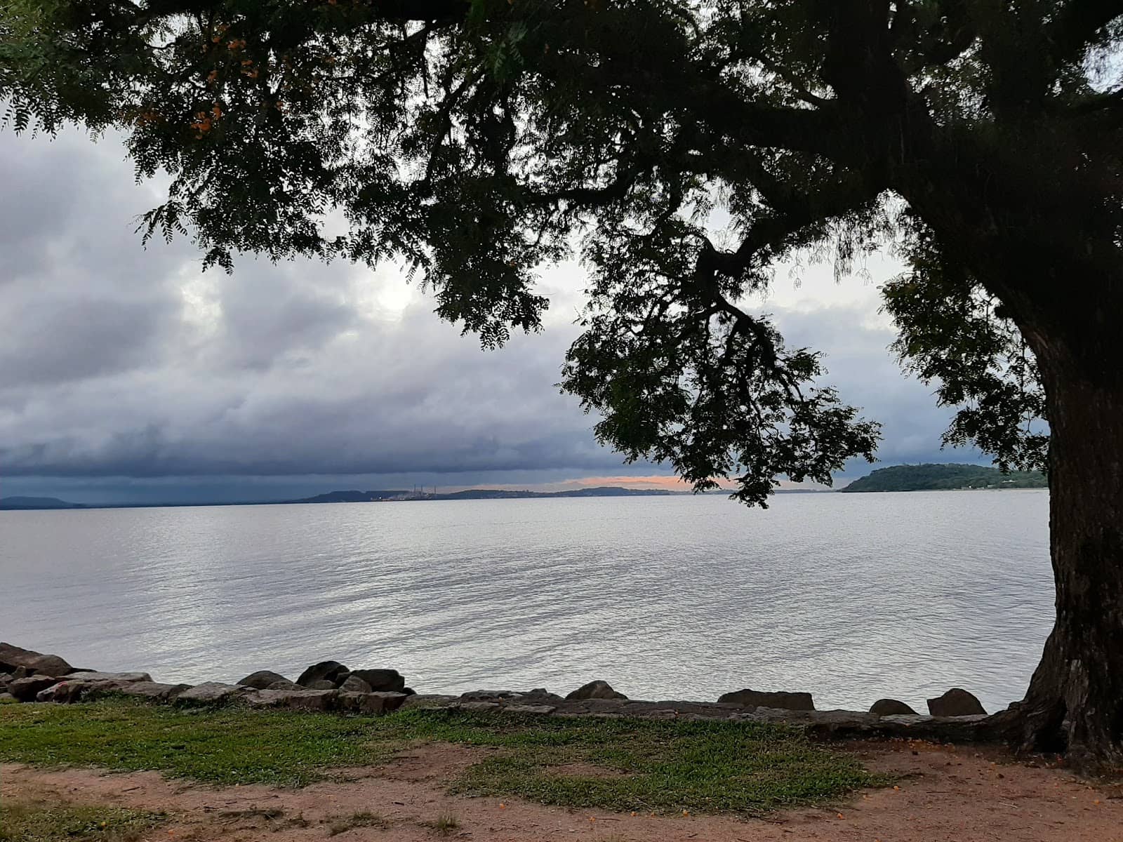 Vertical photo