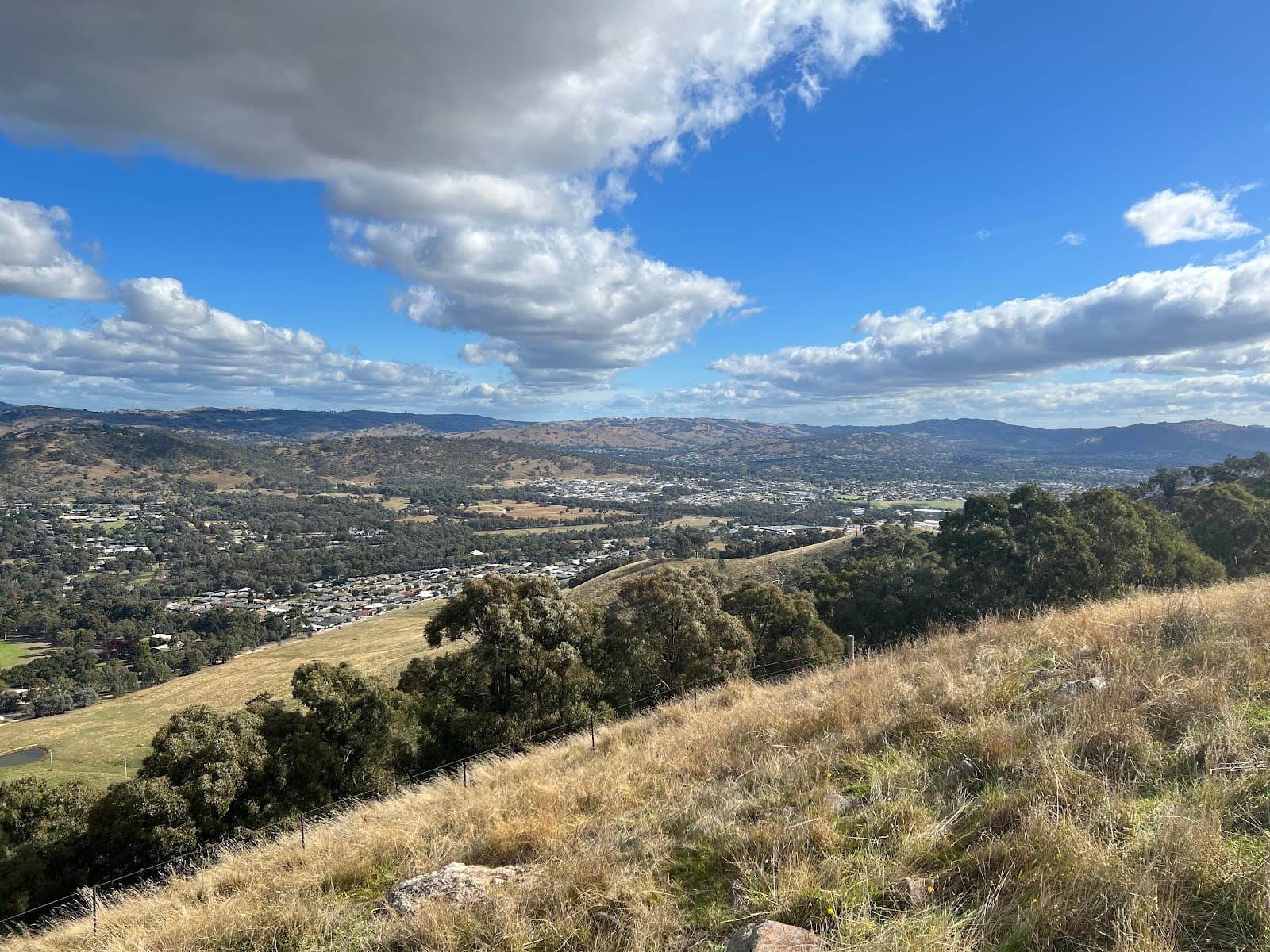 Huon Hill Lookout - Image 1