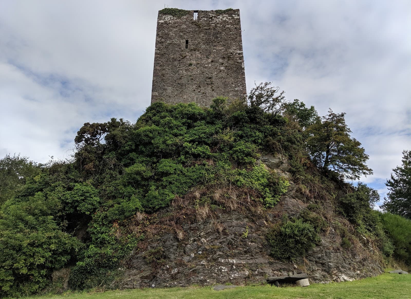 Ferrycarrig Castle - Image 1