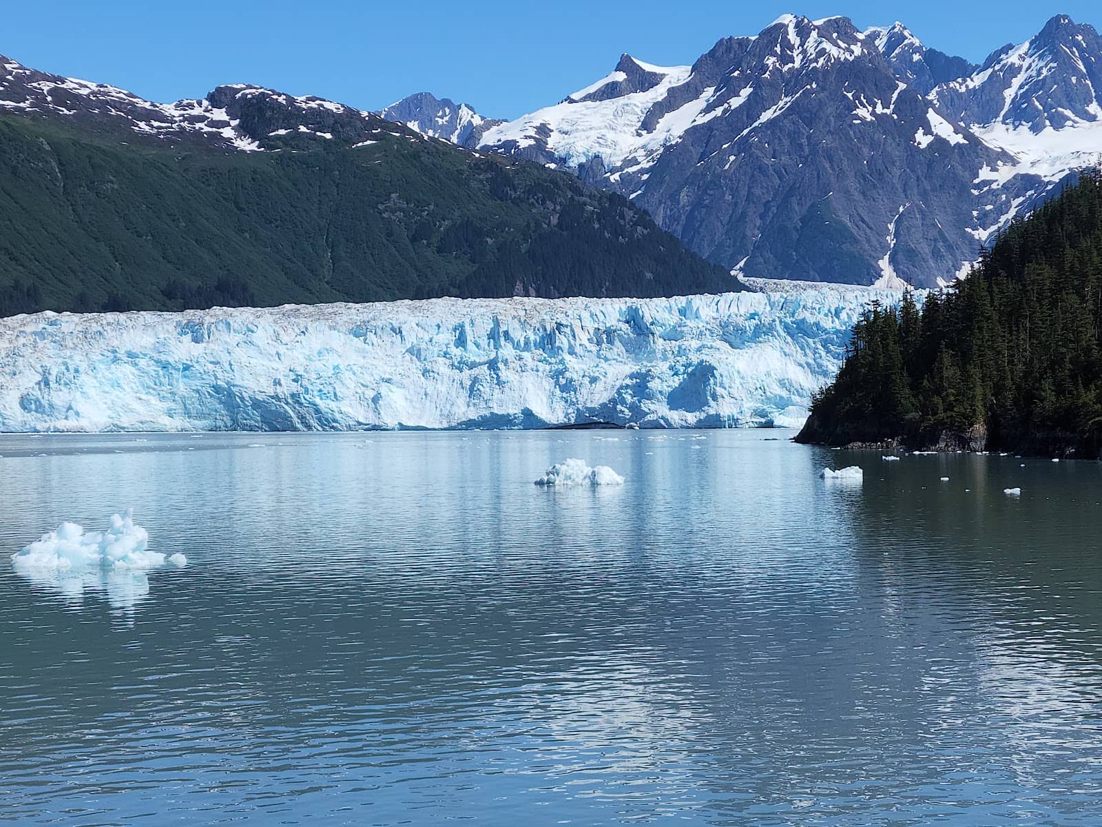 Unique Glacier Dynamics