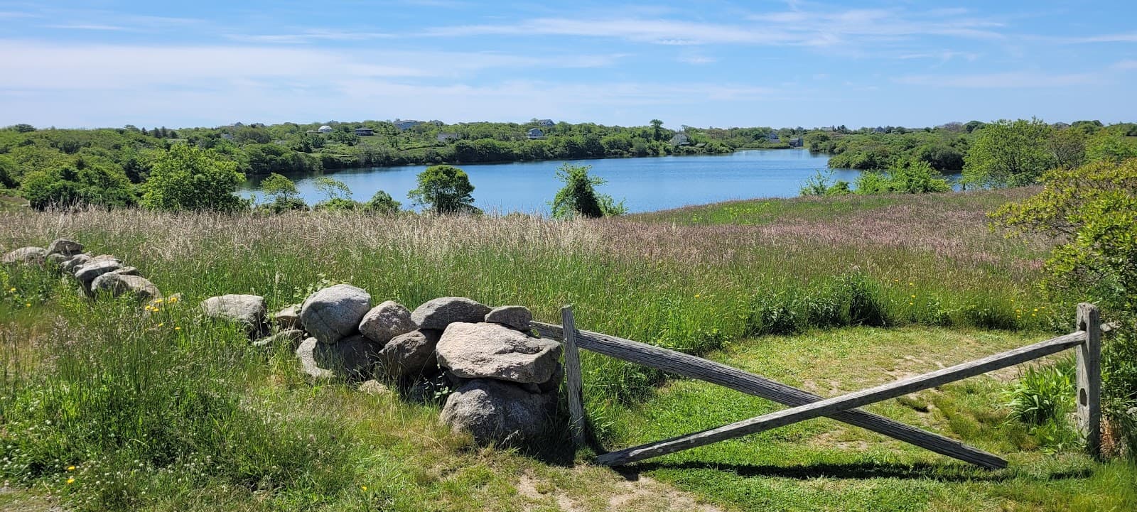 Fresh Pond - Image 1