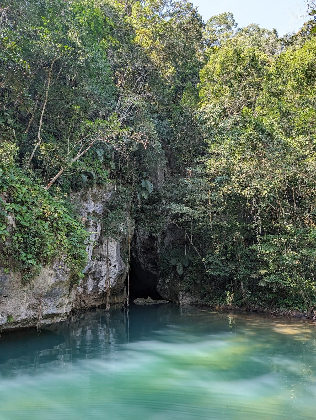 Barton Creek Cave - Image 1