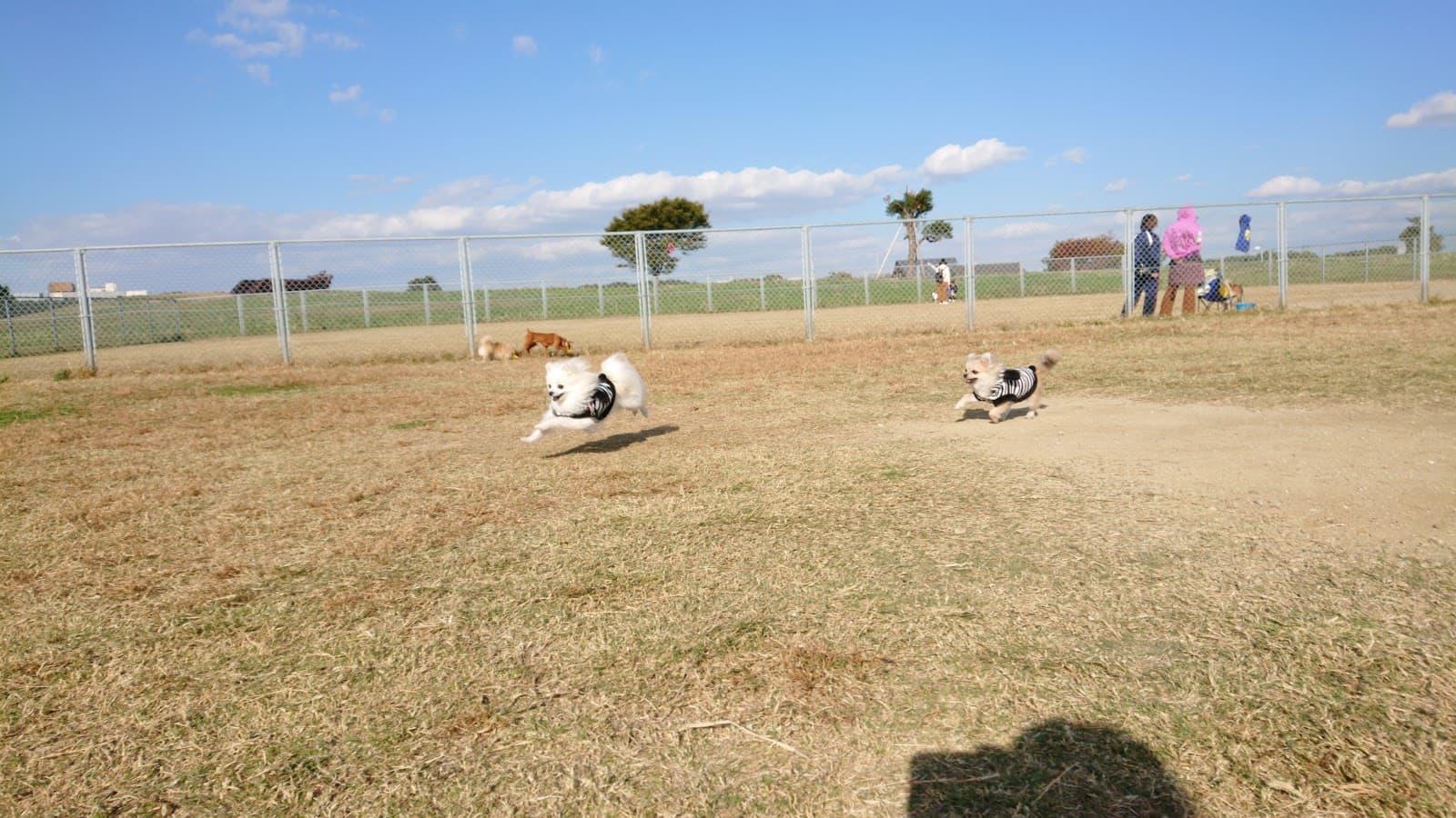 Sakaihama Fishing Park - Image 1