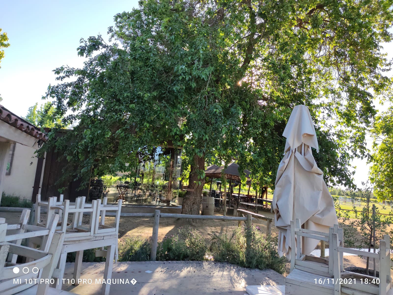 Santa Cruz (Colchagua) - Image 1