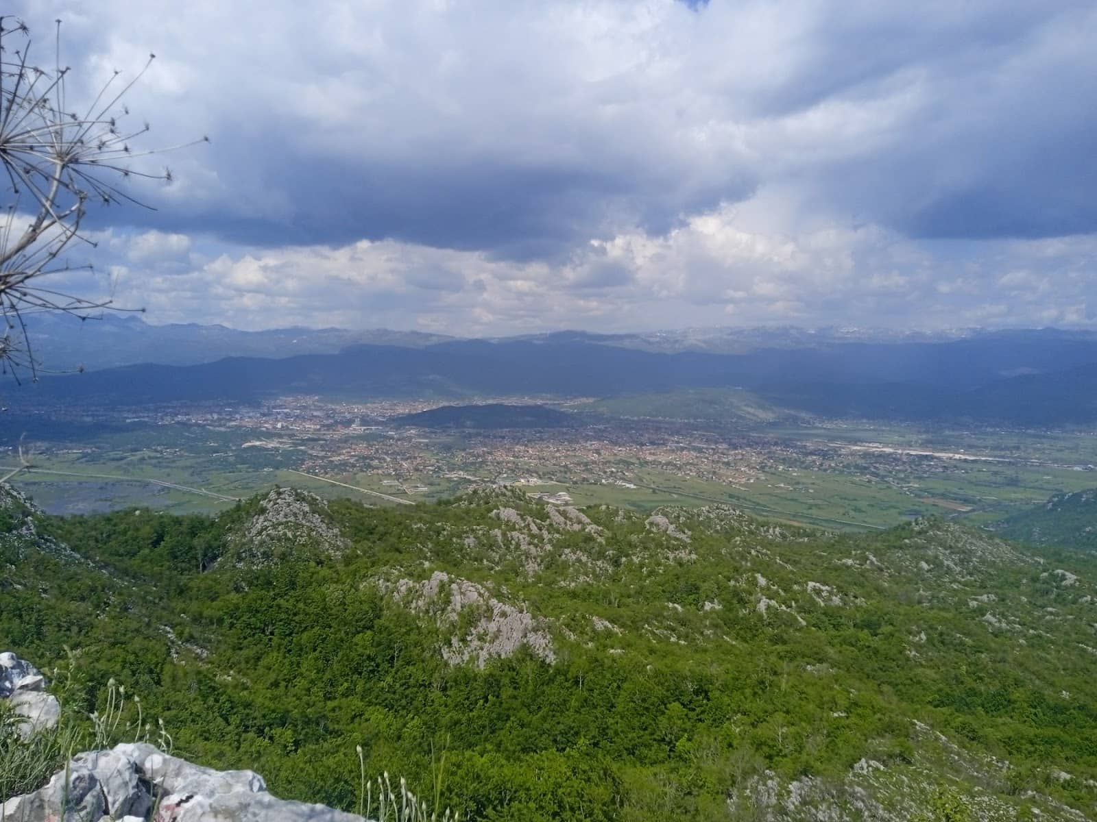 Niksic's Trademark