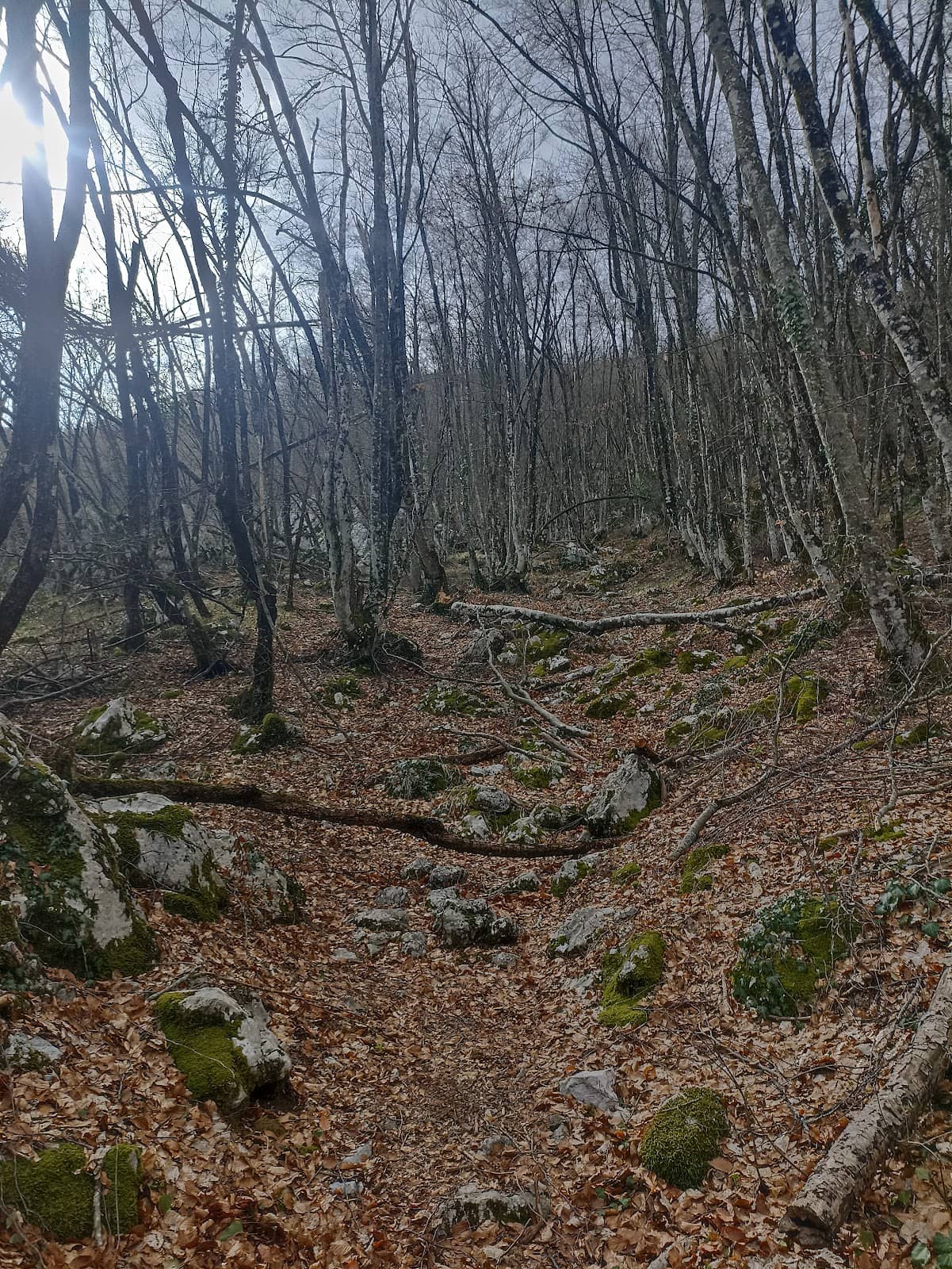Vertical photo