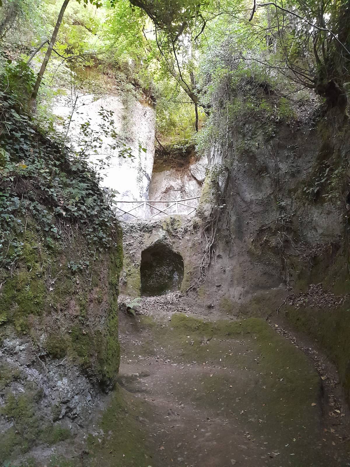 The 'Face' in the Rock