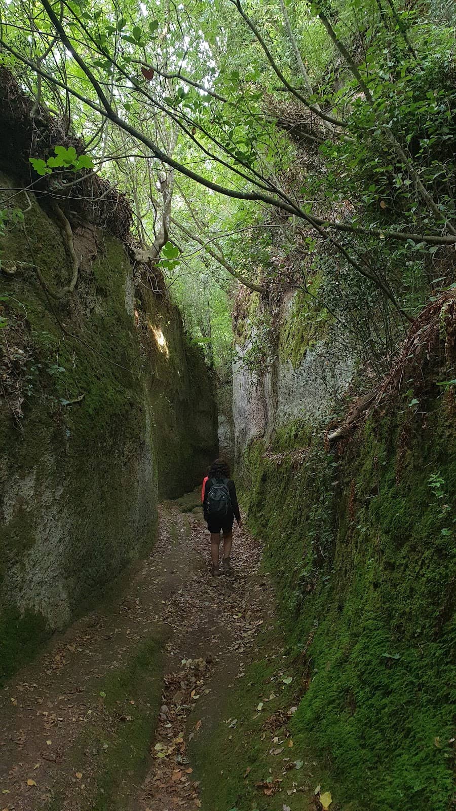 Vertical photo