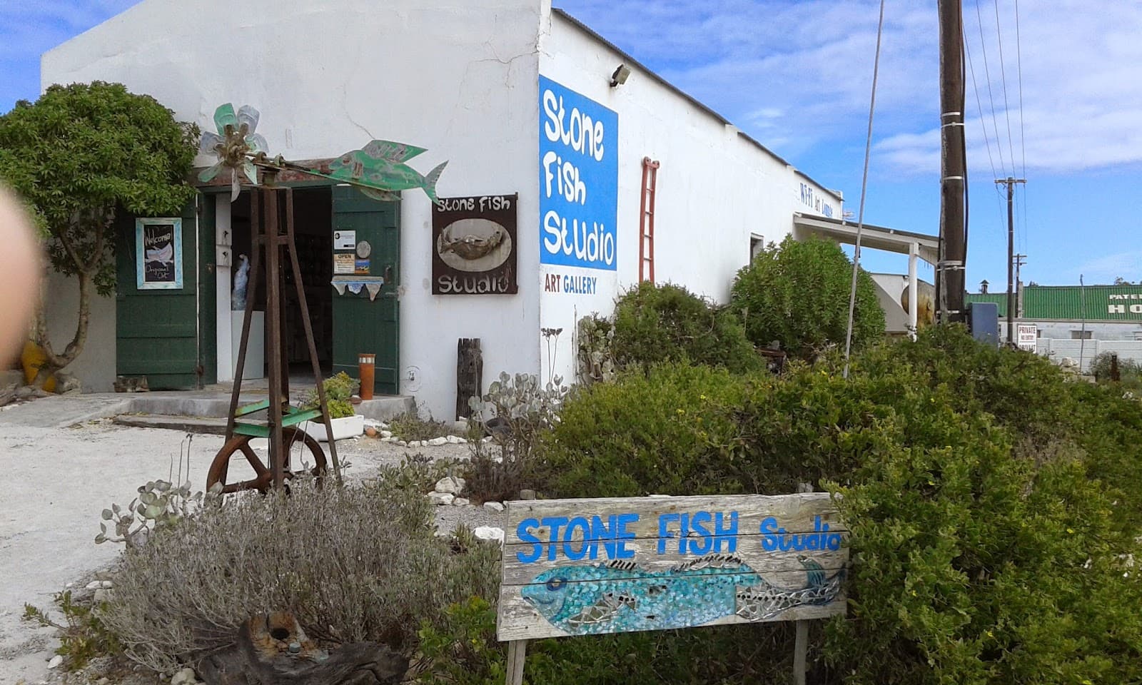 Stone Fish Studio & Gallery - Image 1