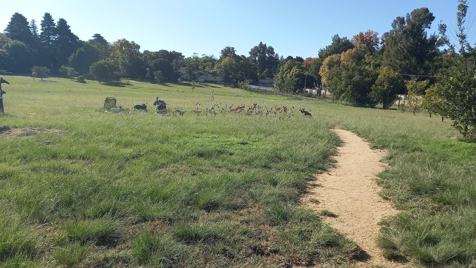 Picnic and Relaxation Spots