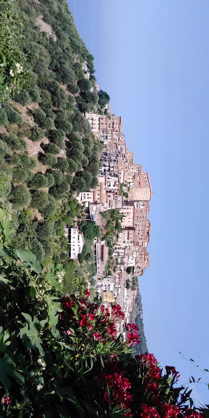 Vertical photo