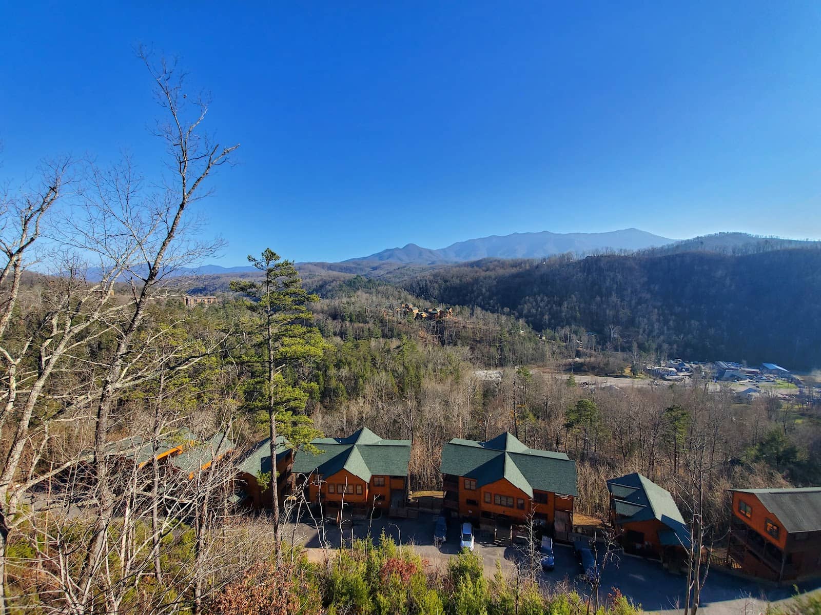 Wilderness at the Smokies