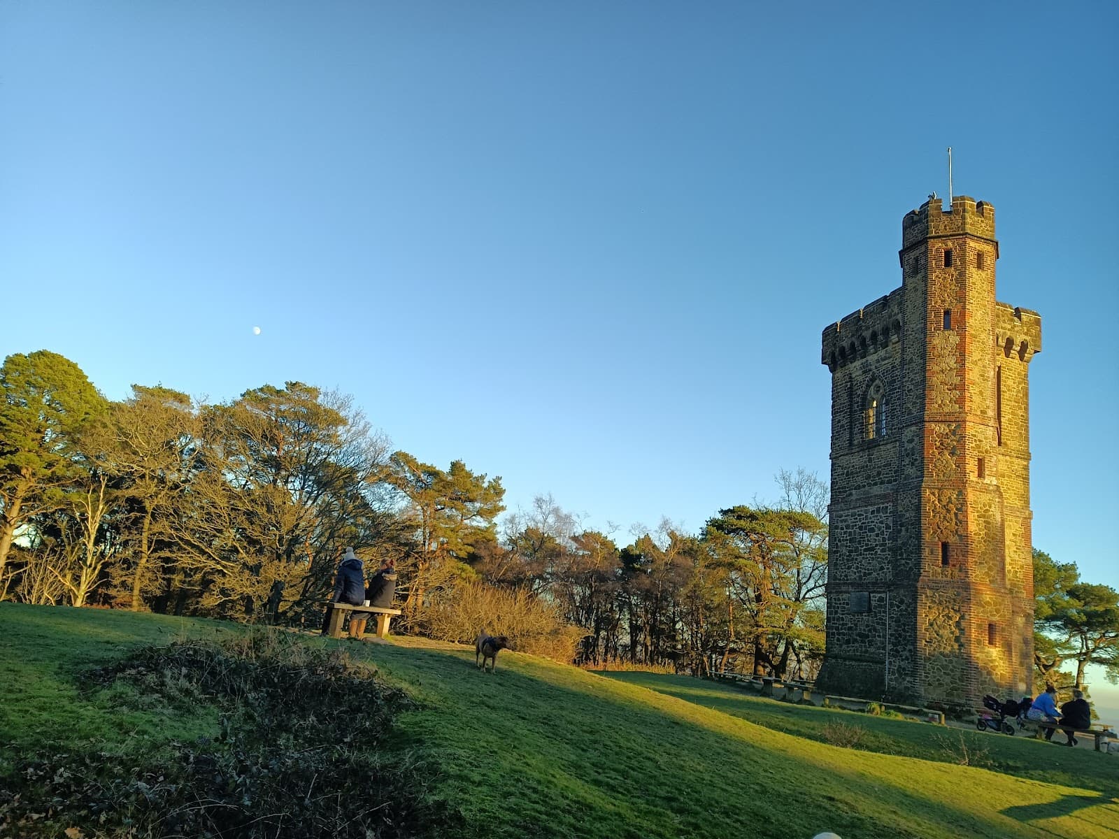 Leith Hill Tower - Image 1