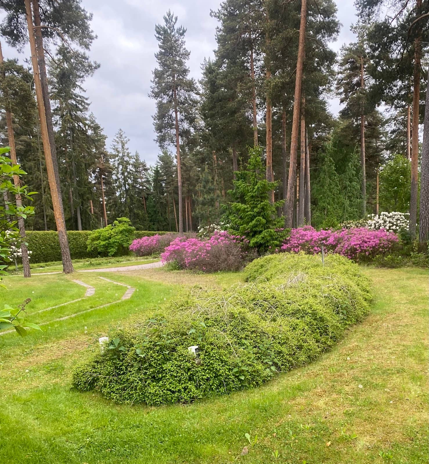 Accessible Grave Sites
