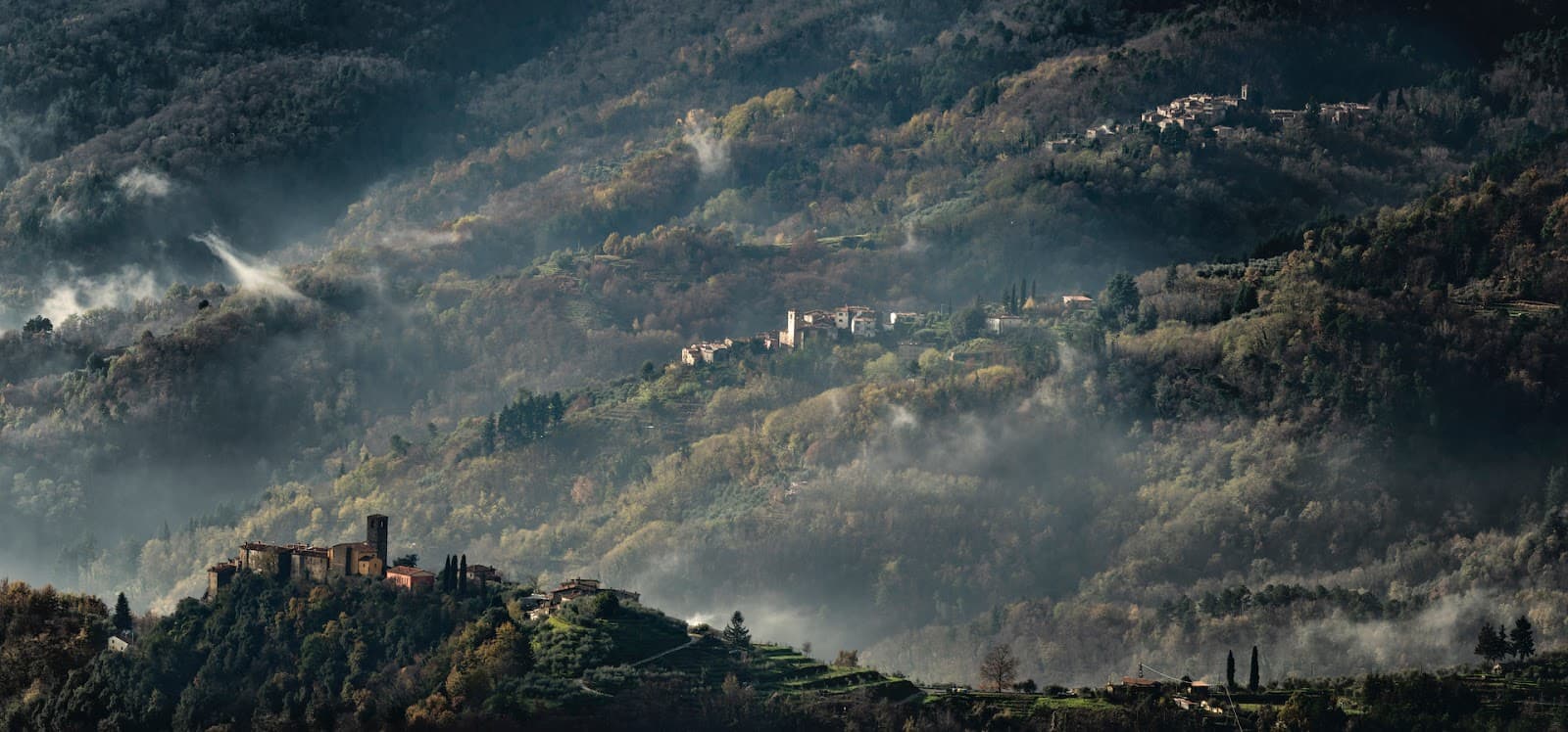 Valleriana Svizzera Pesciatina - Image 1