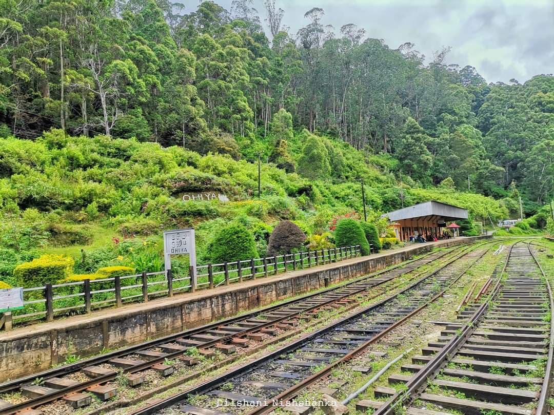 Ohiya Railway Station - Image 1