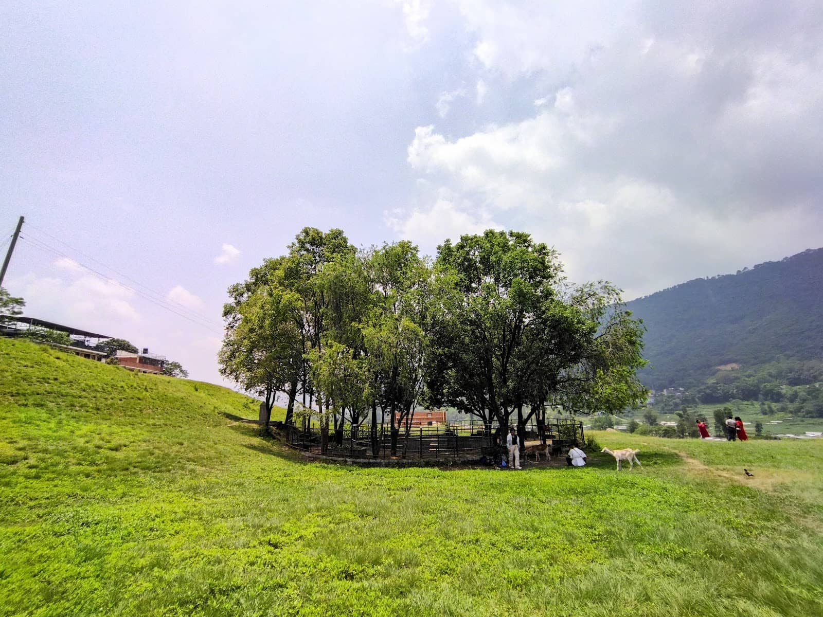 Vertical photo