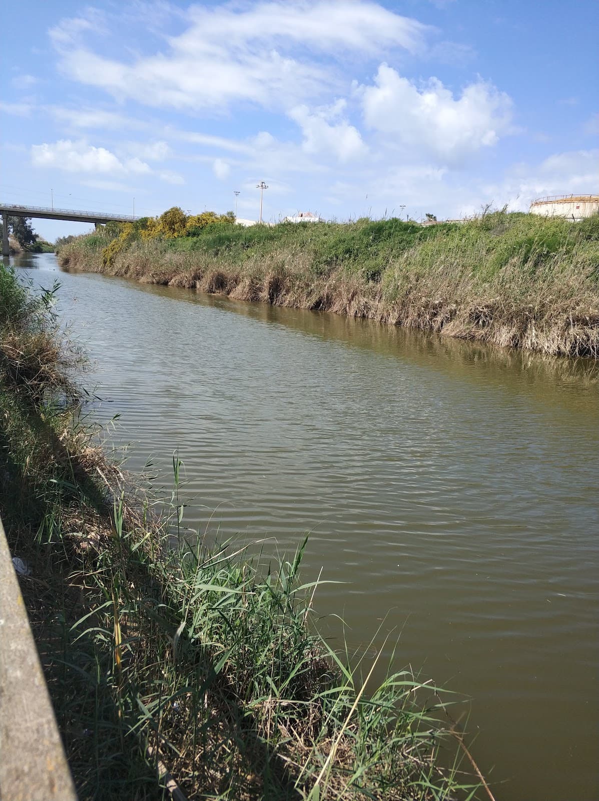 Lachish River Park - Image 1