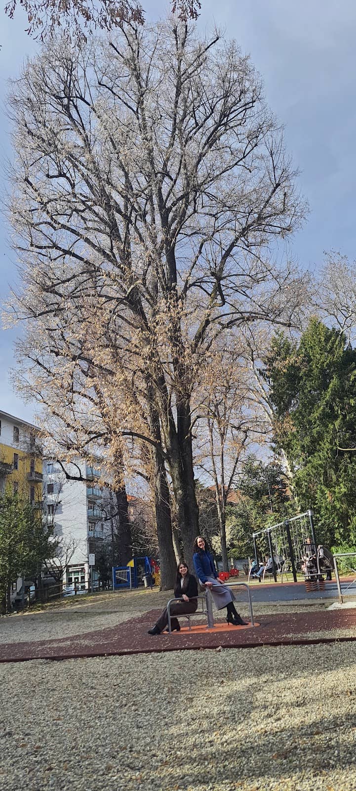 Vertical photo