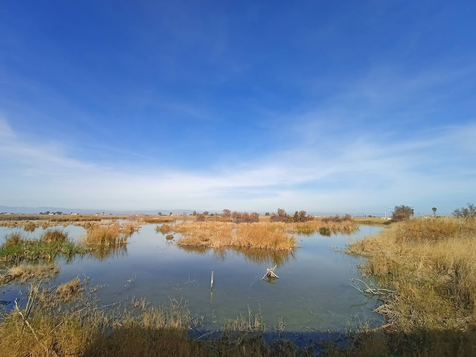 Riet Vell Reserve - Image 1