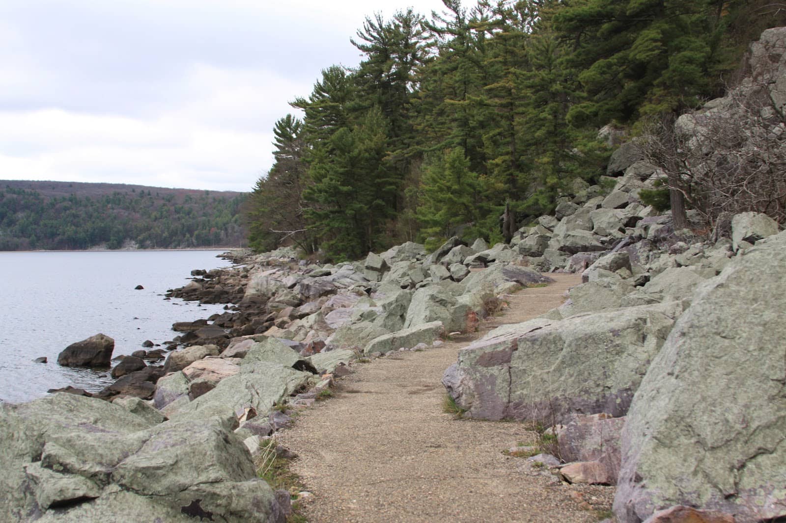 Paved Lakeside Path