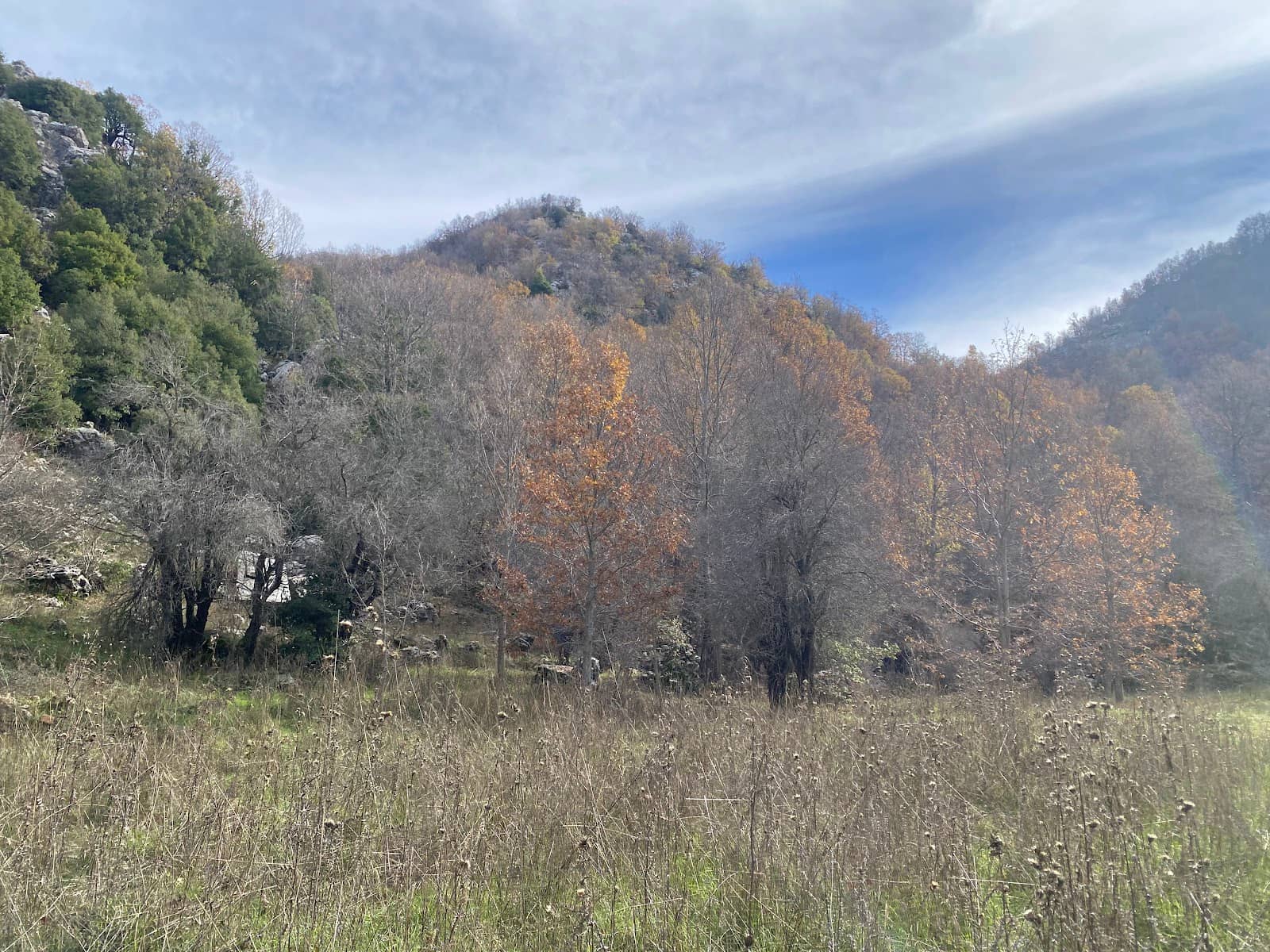 Charming Village Charm