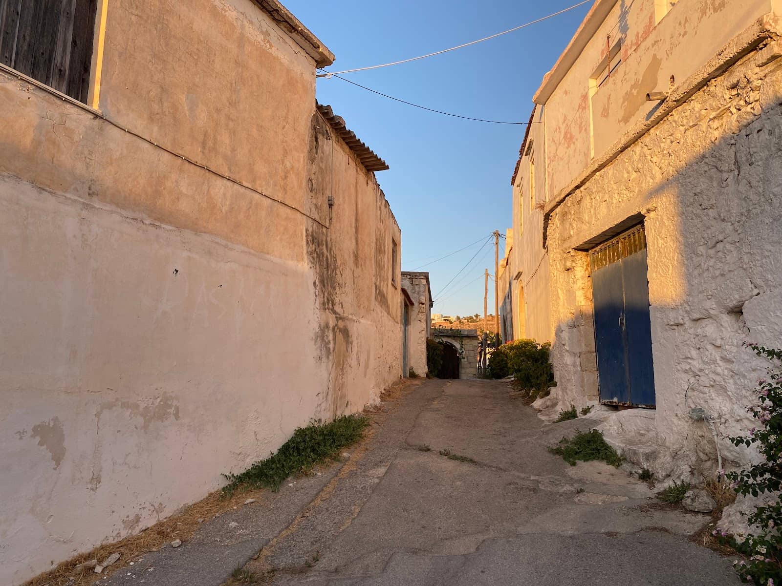 Vertical photo