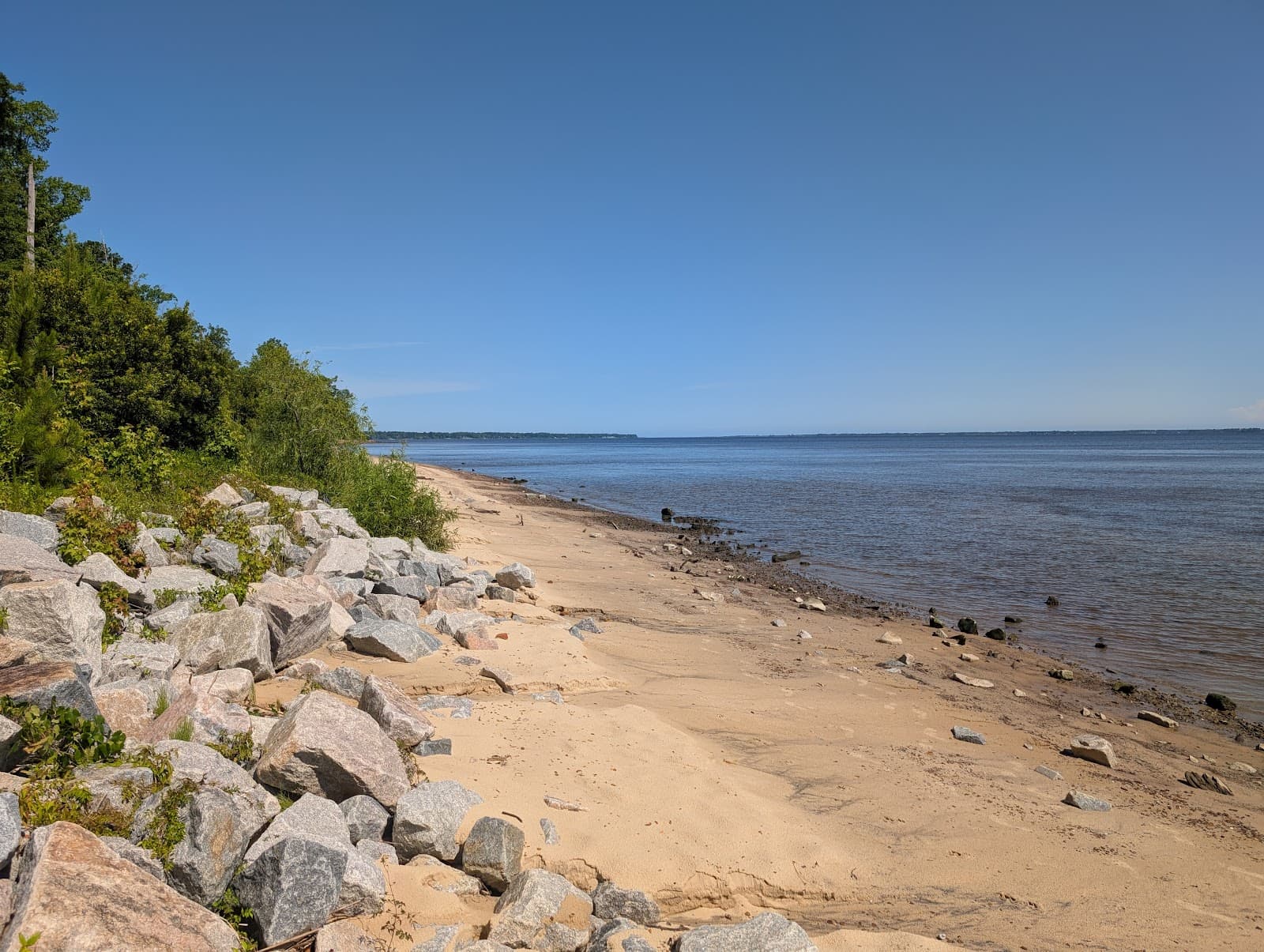 Croatan National Forest - Image 1