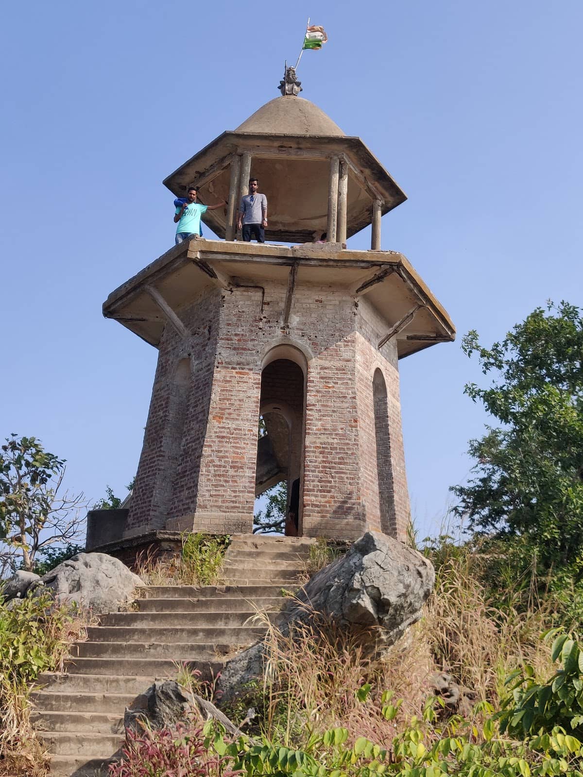Lush Forest Surroundings