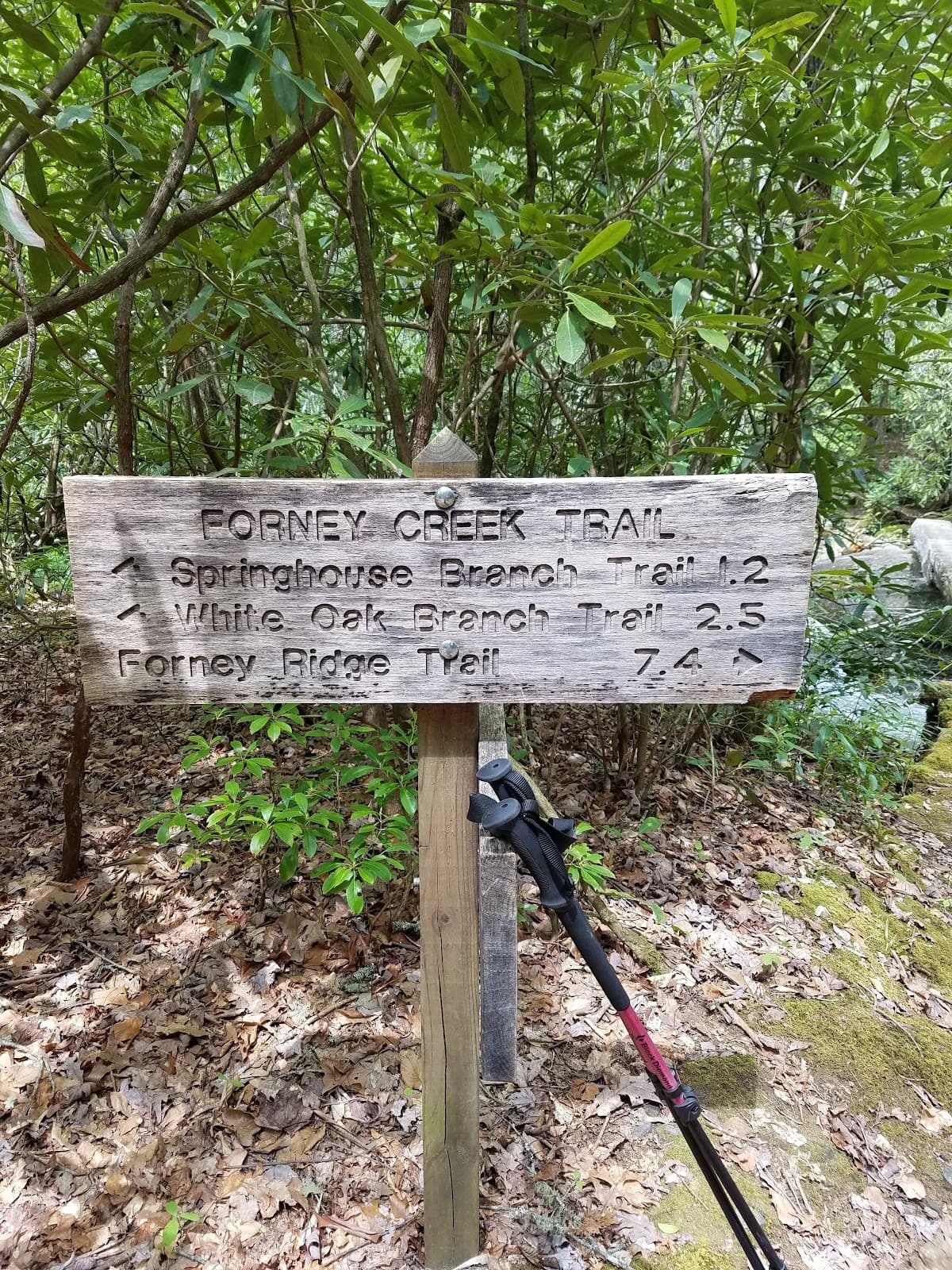 Forney Creek Trail Great Smoky Mountains - Image 1