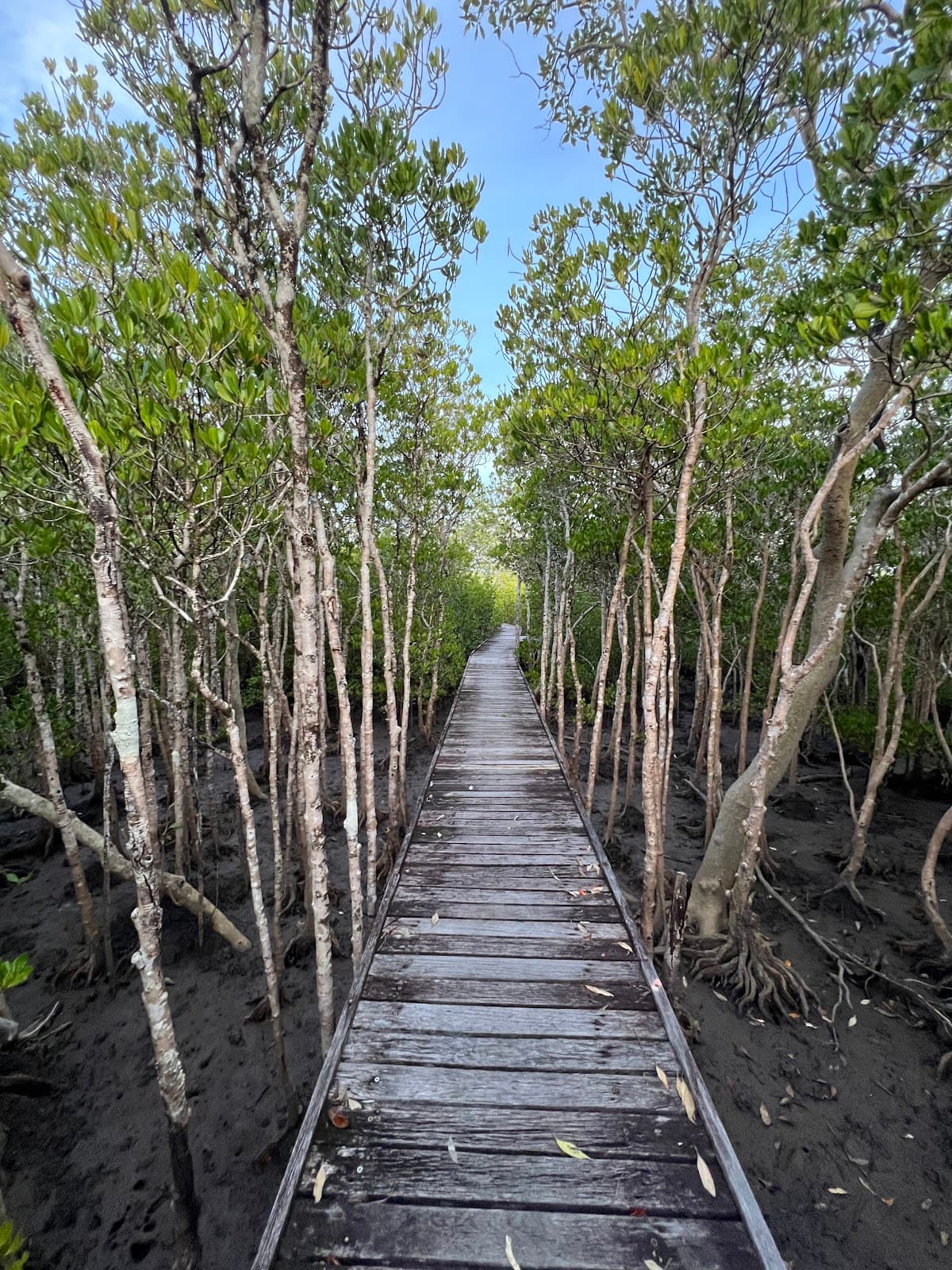 Jack Barnes Boardwalk - Image 1