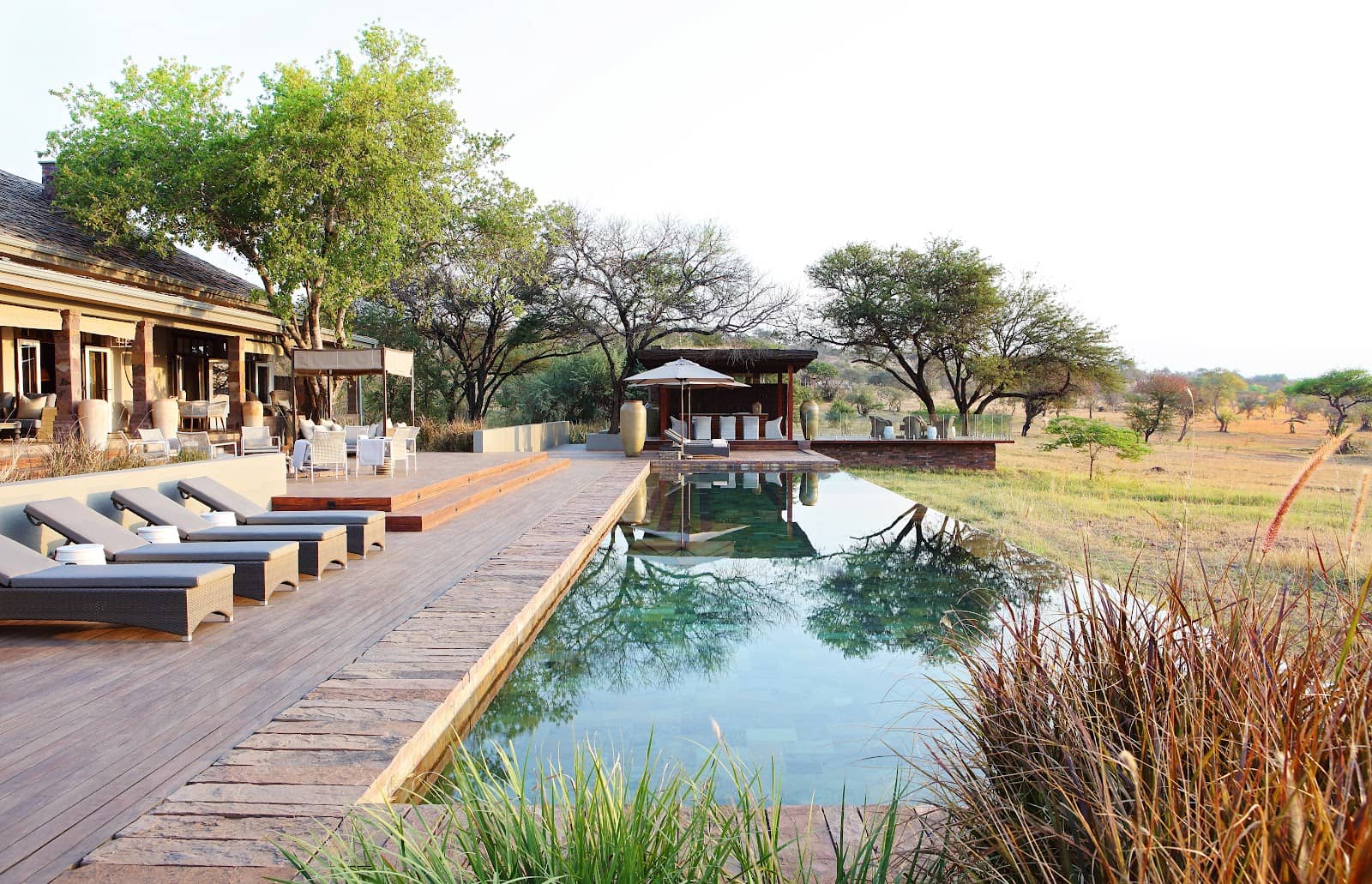 Contemporary Design Meets Nature