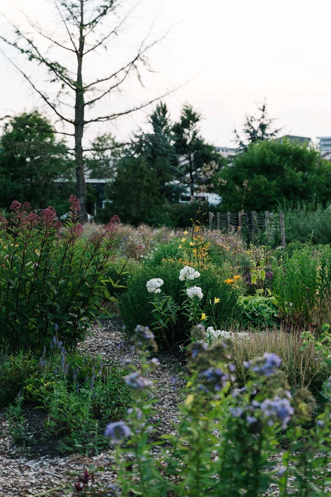 Organic Plant Nursery