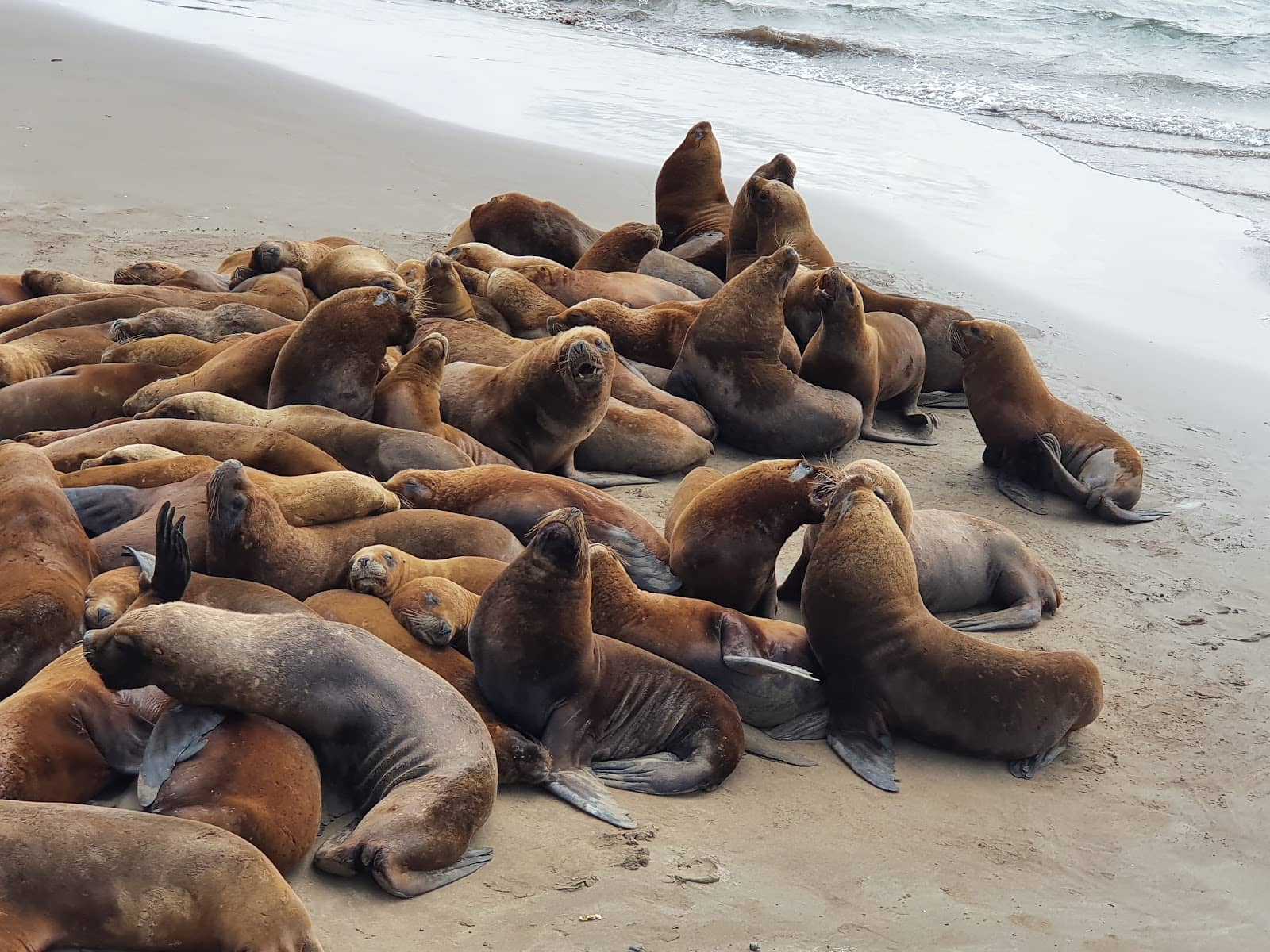 Panoramic Ocean Views