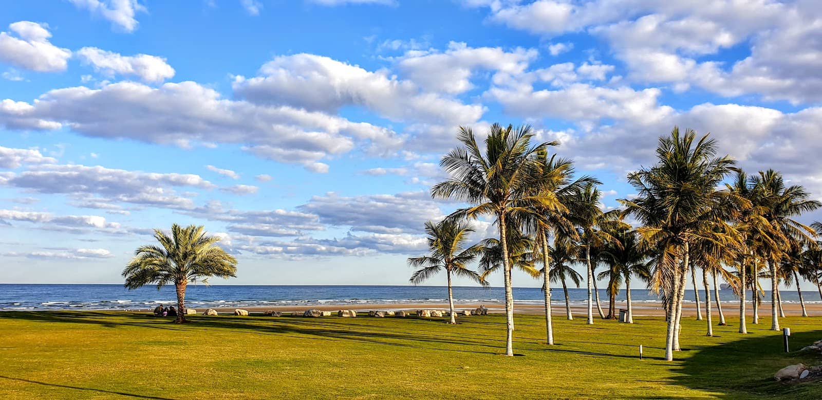 Palm-Lined Promenade