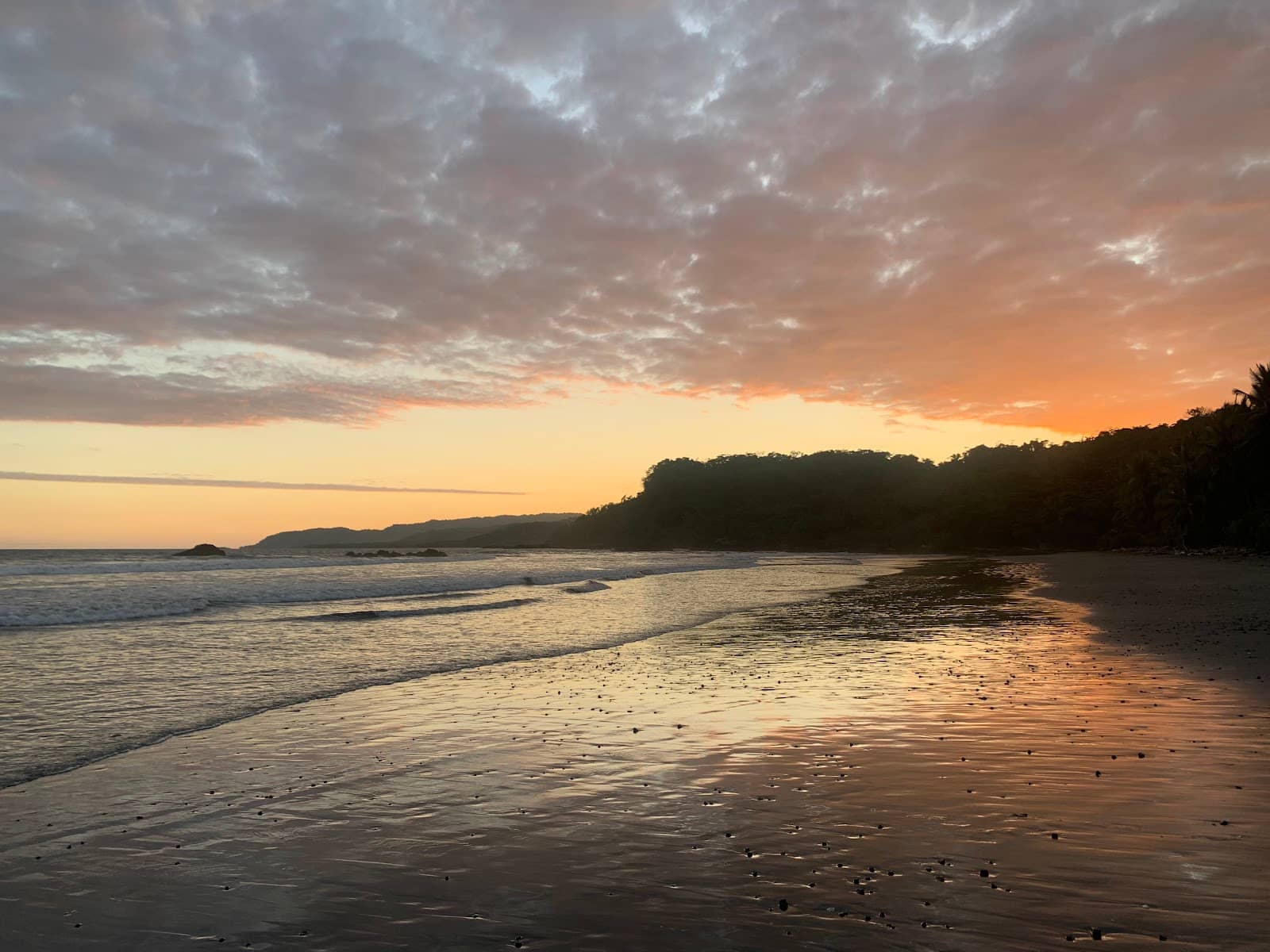 Surfing Opportunities